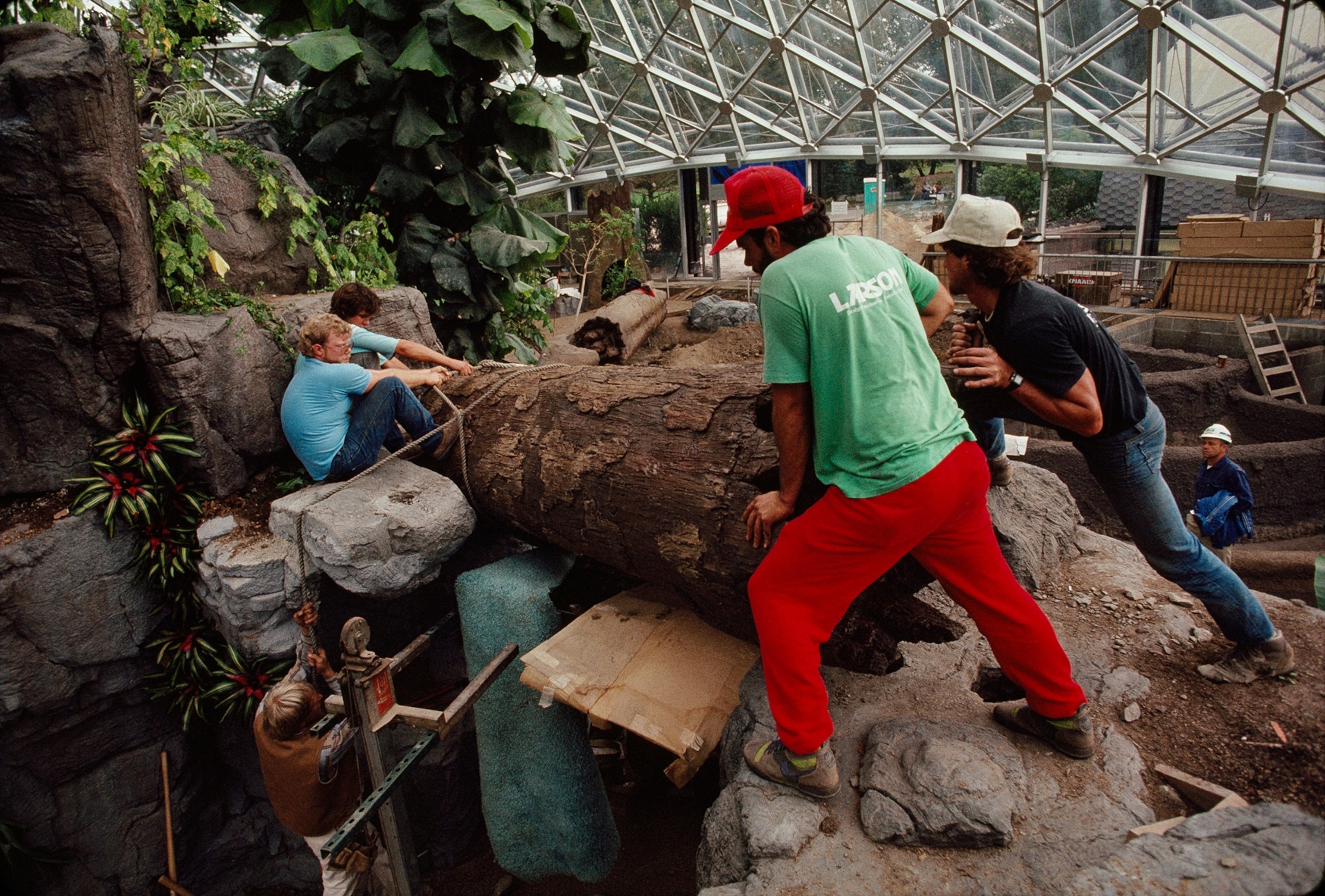 Workers arrange a display of rainforest plants at a botanical garden.