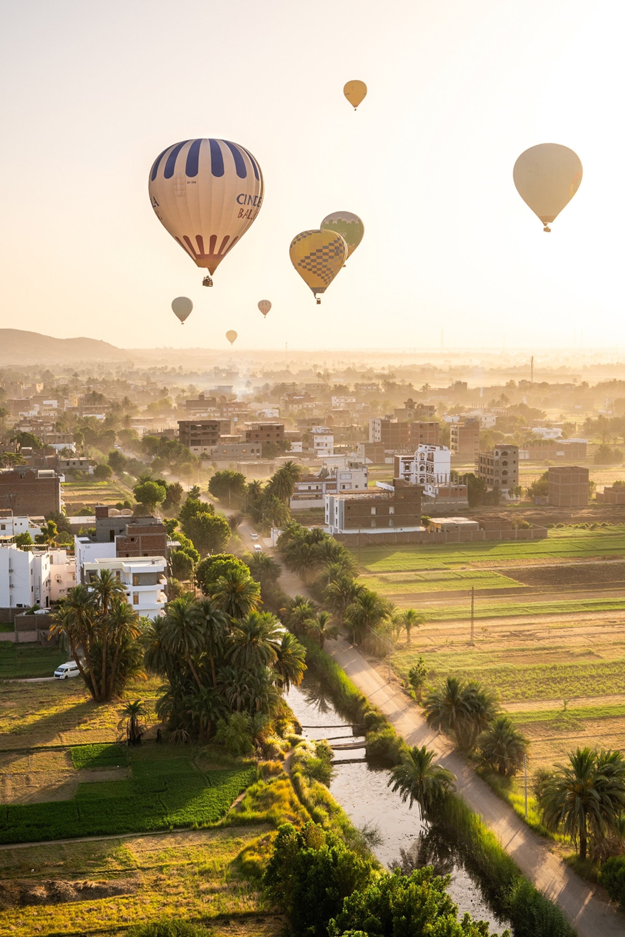 Hot air balloons rising over a shallow city with farmland around the edges.