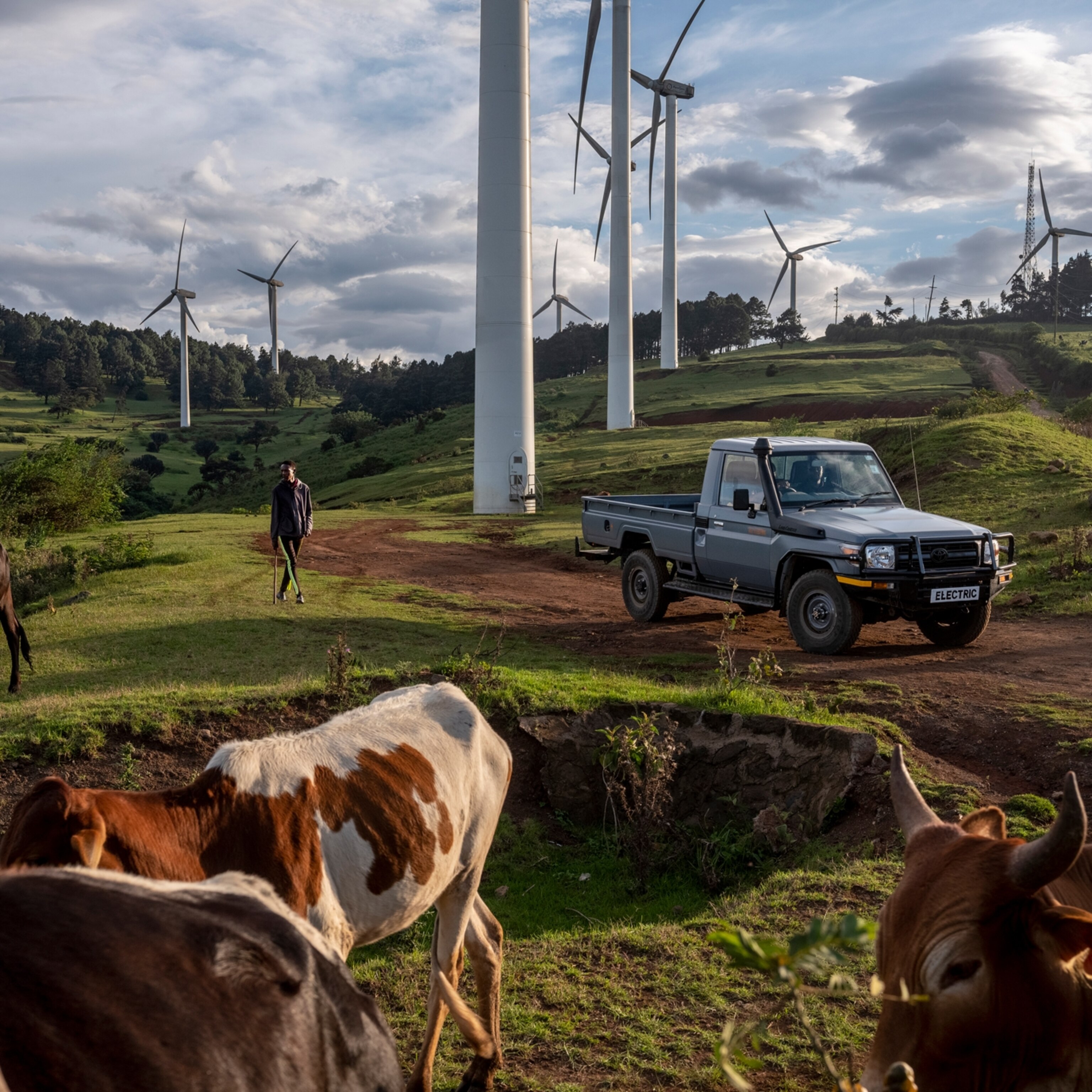 write an essay about renewable energy