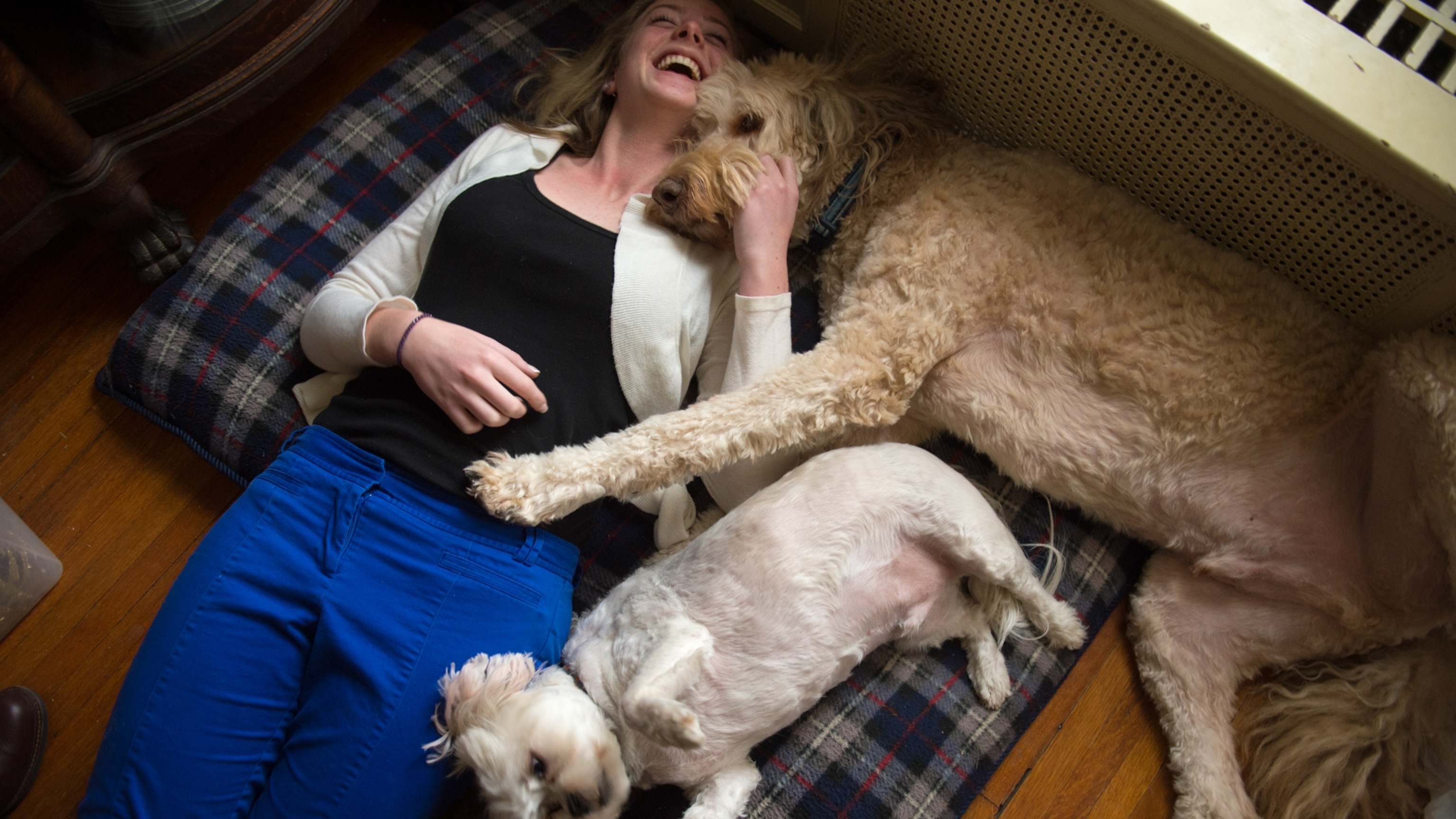 Why your dog helps you relax more than your friends do