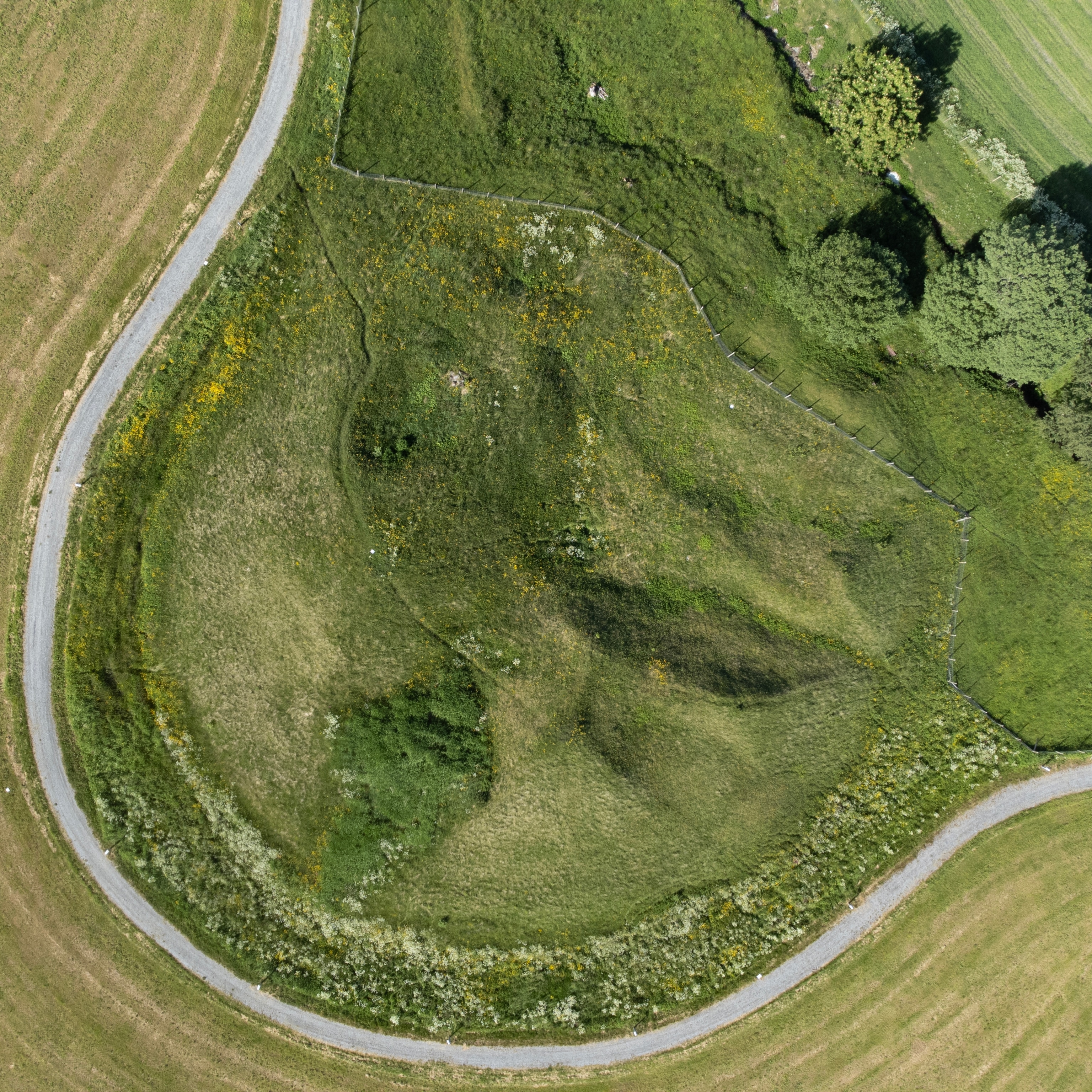 Green landscape from above