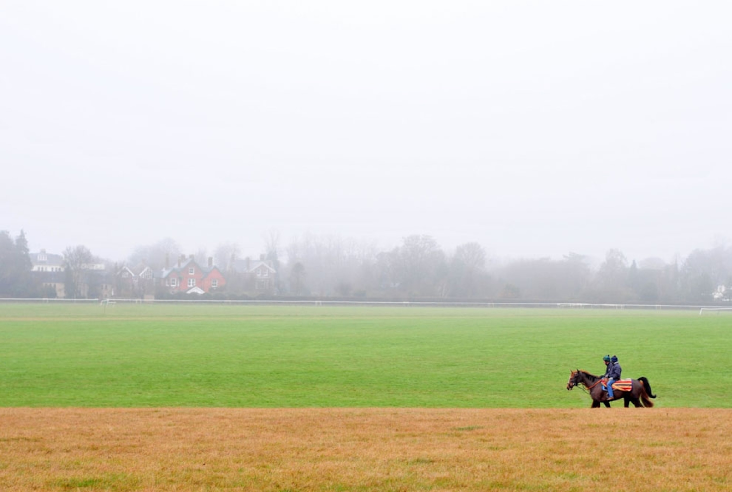 Horse walking along a track in England