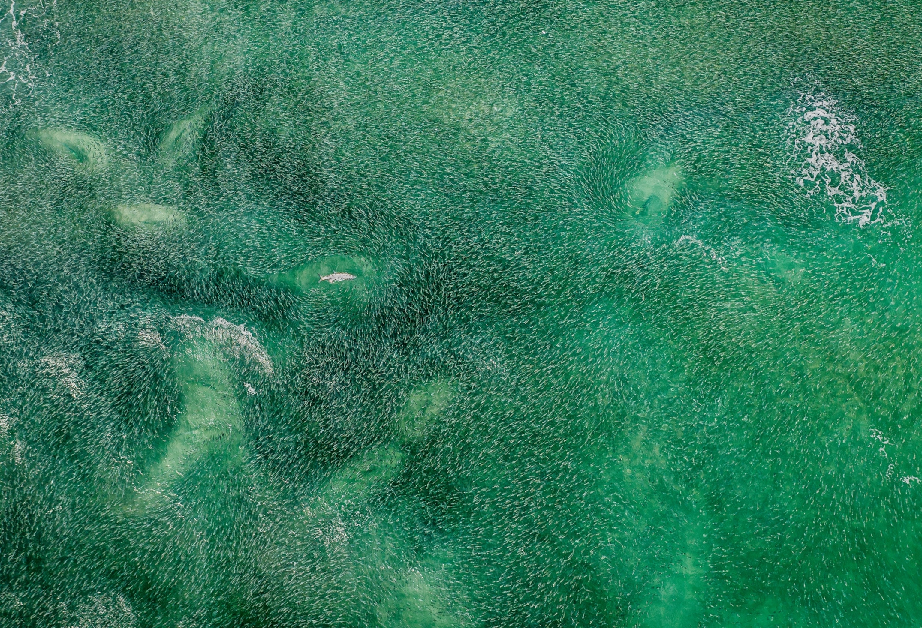 A view of splashes in the ocean