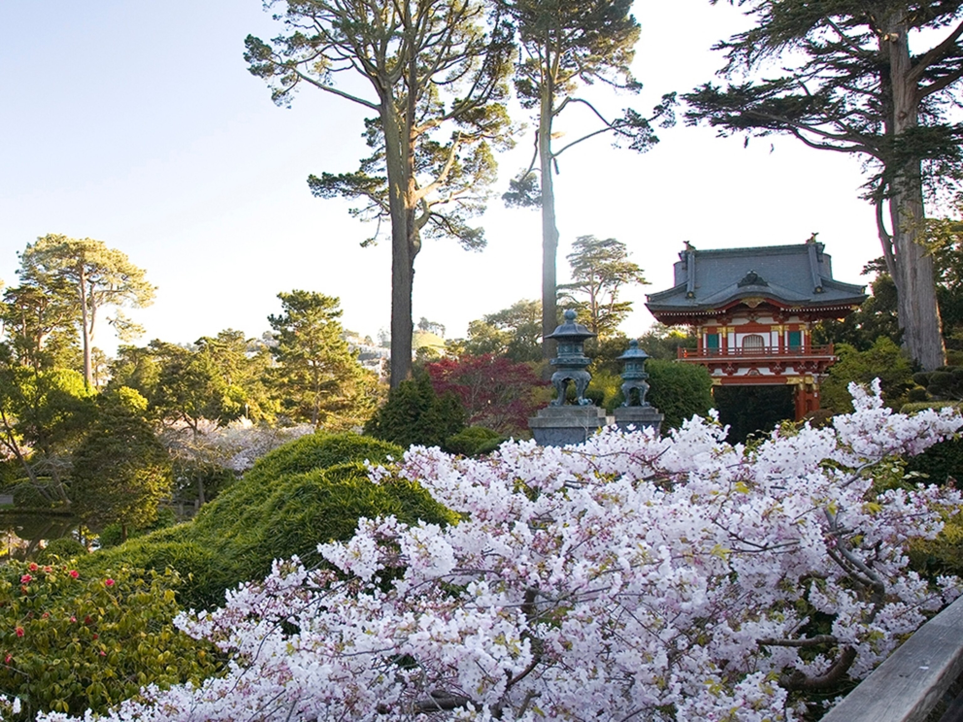 Golden Gate Park, San Francisco