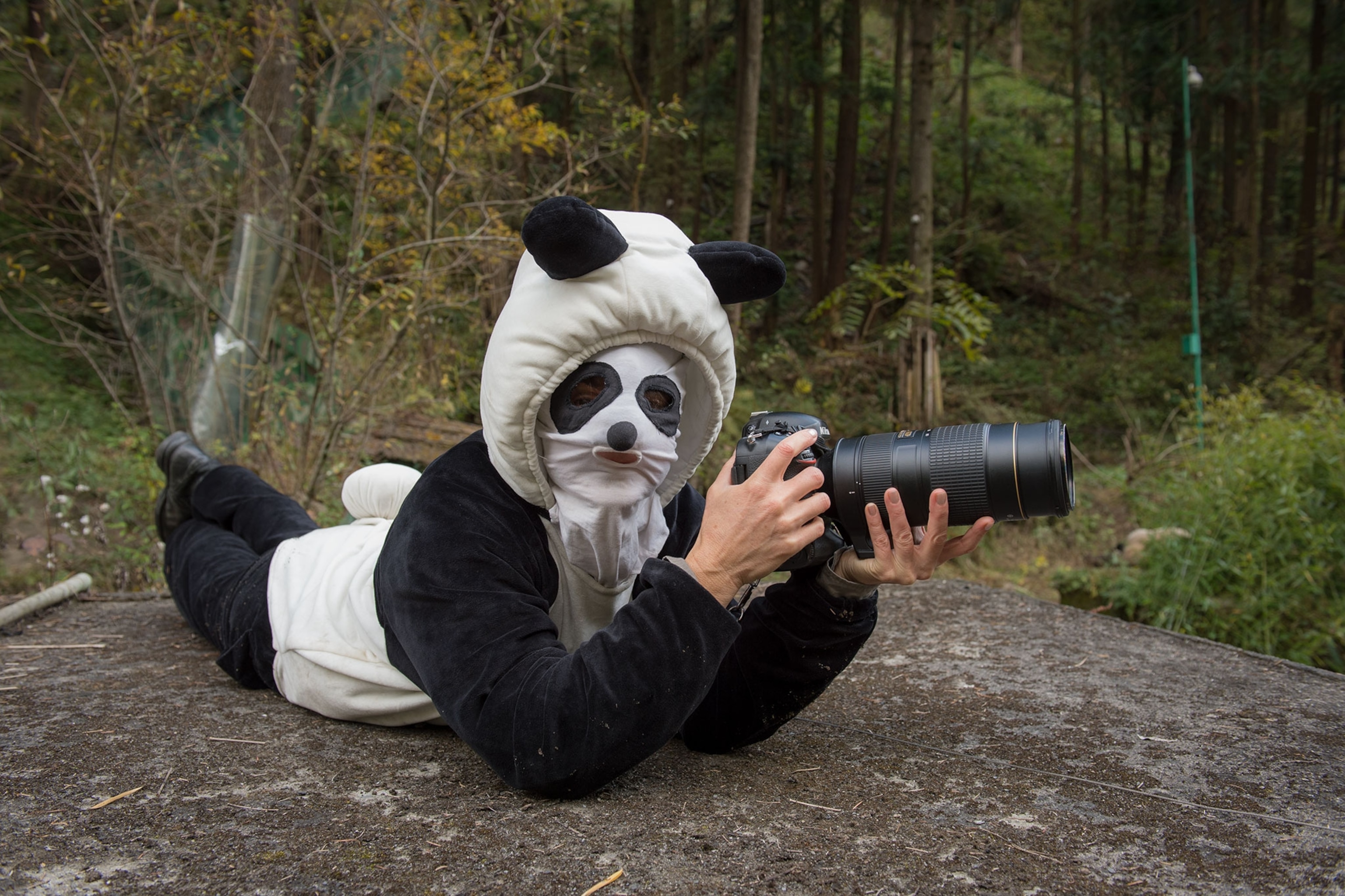 A Behind-The-Scenes Look At Photographing Pandas