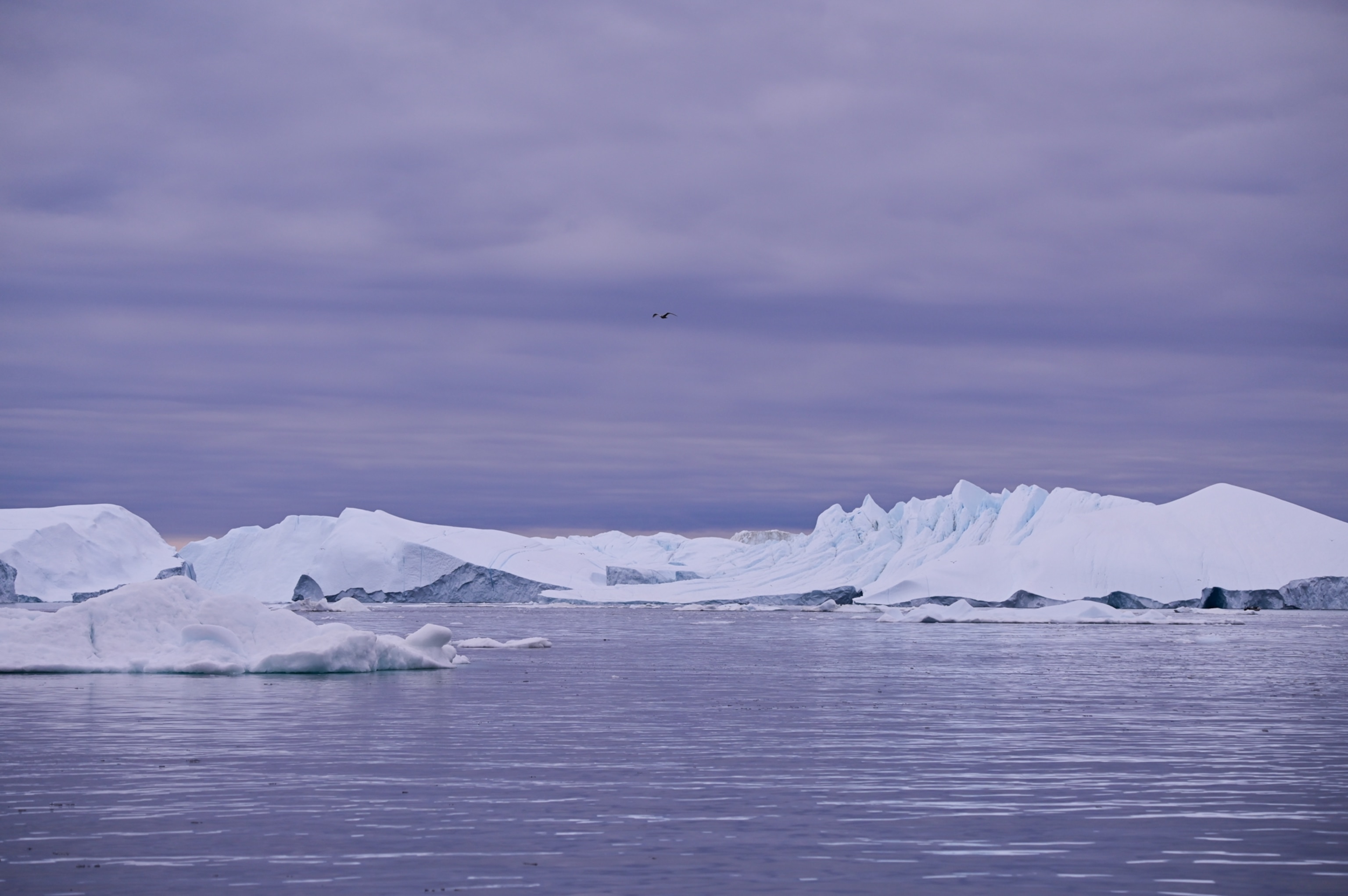 A vast expanse of white icebergs floats in calm, dark water under a moody, purple-toned cloudy sky, with a single small bird flying in the distance