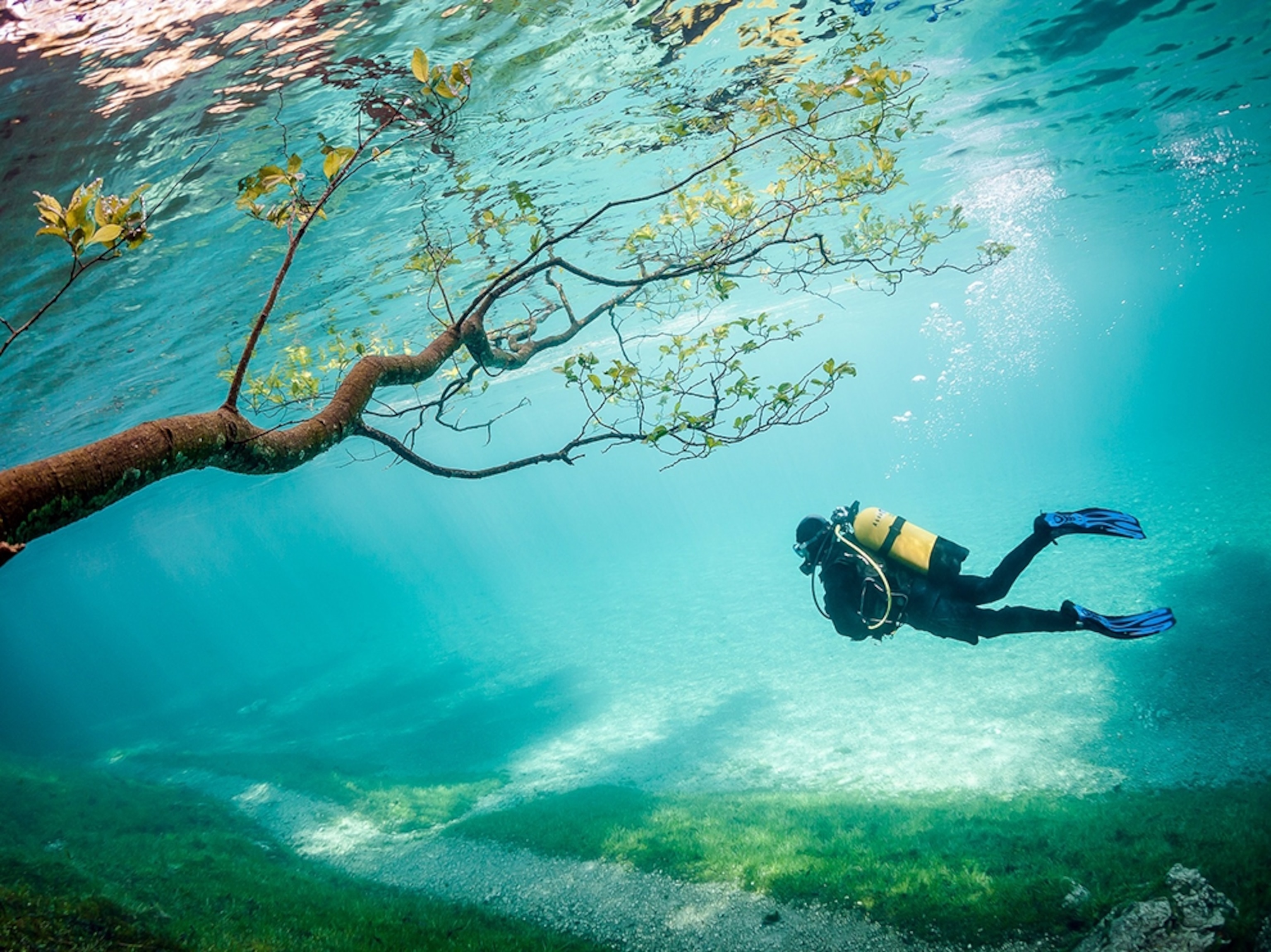 a scuba diver in Green Lake, Tragoss, Austria