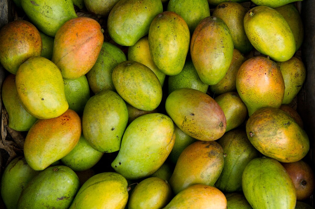Kenyan Farmers Fight Food Loss By Drying, Selling Mangoes