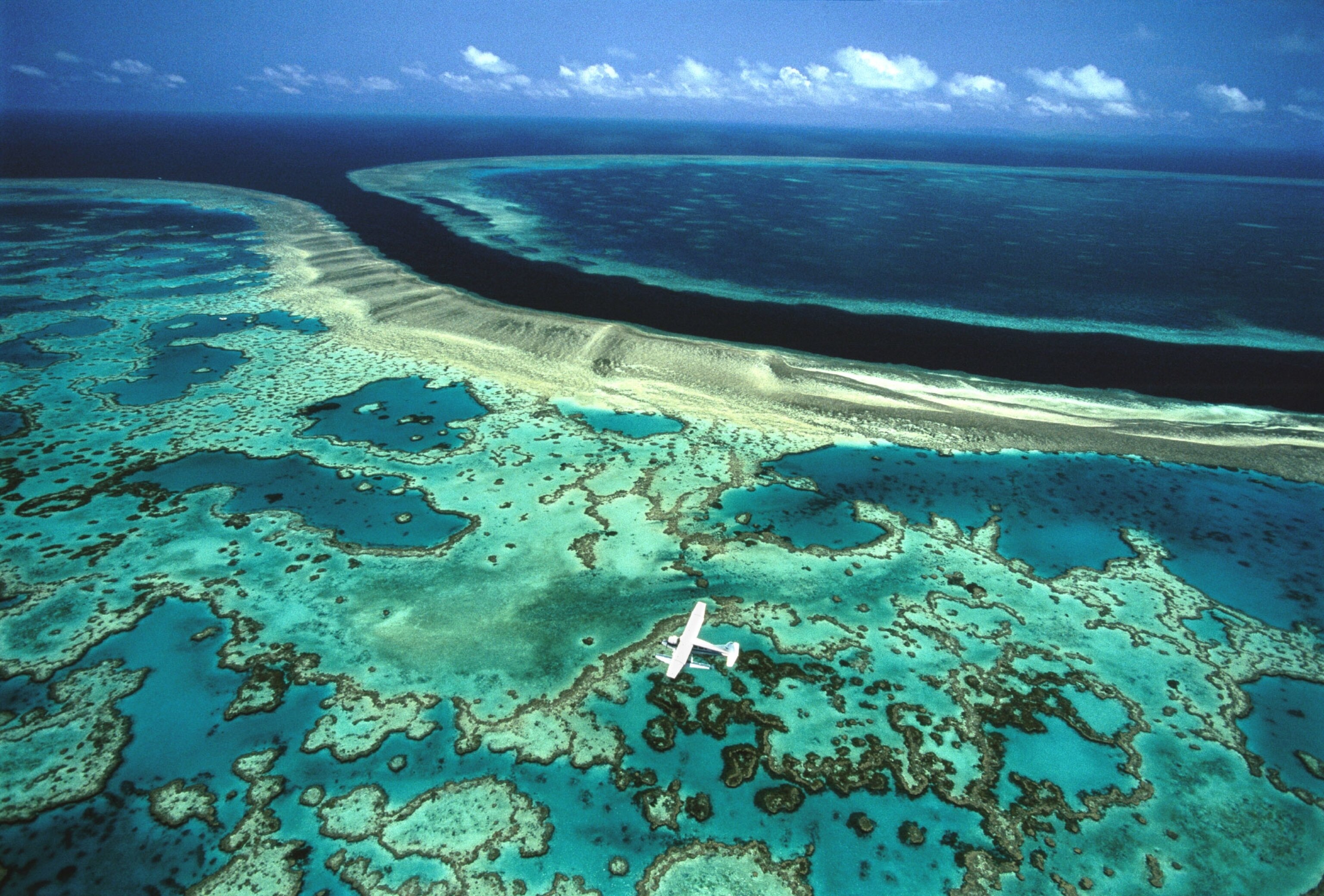 great barrier reef
