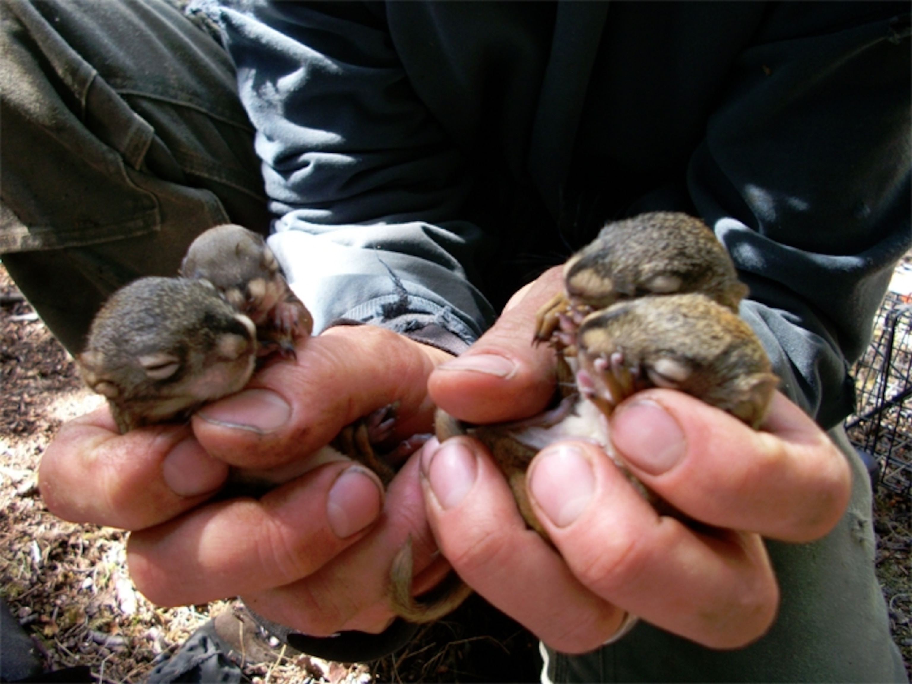 Photo by Ben Dantzer