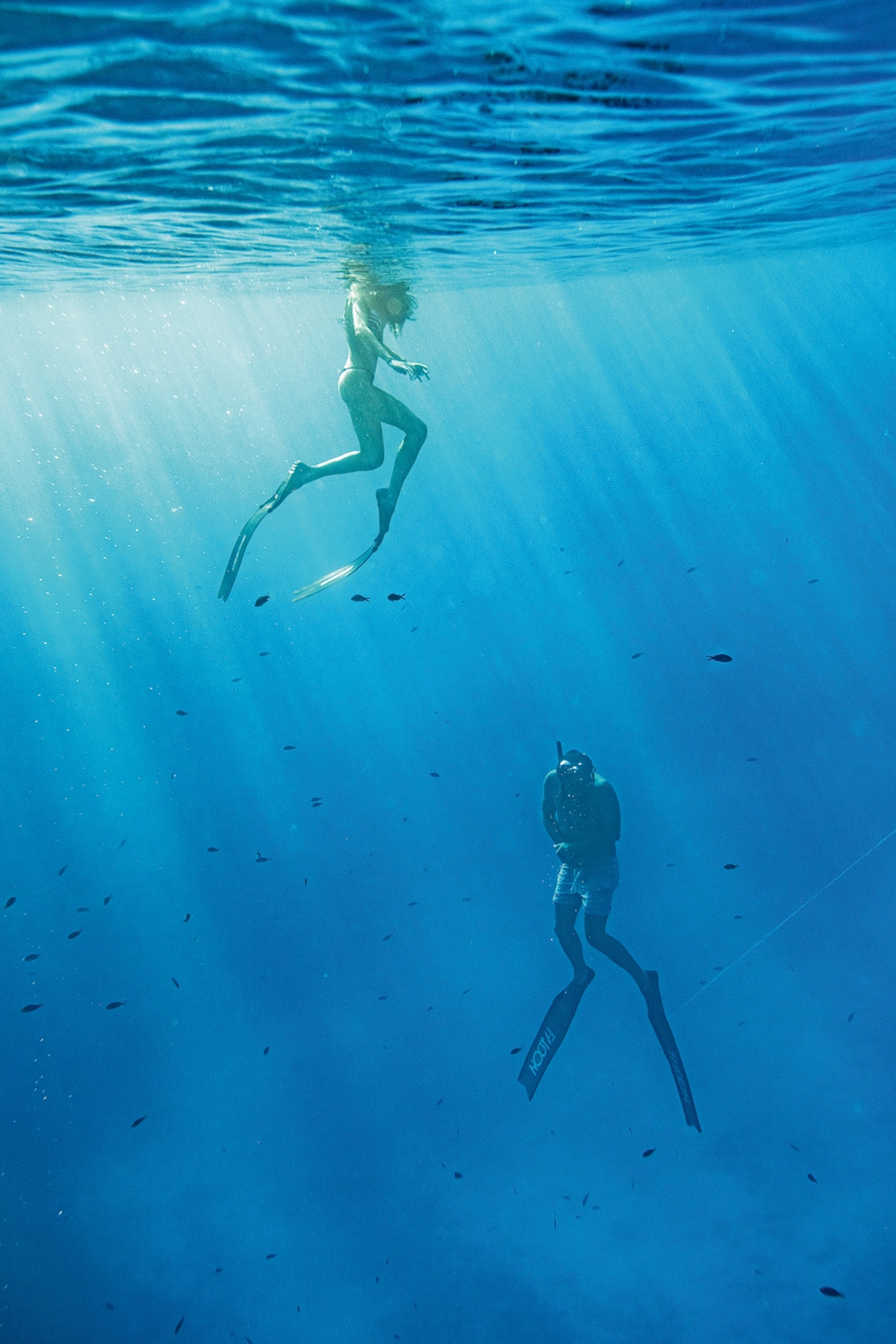 An underwater shot of two casual divers under the ocean surface.