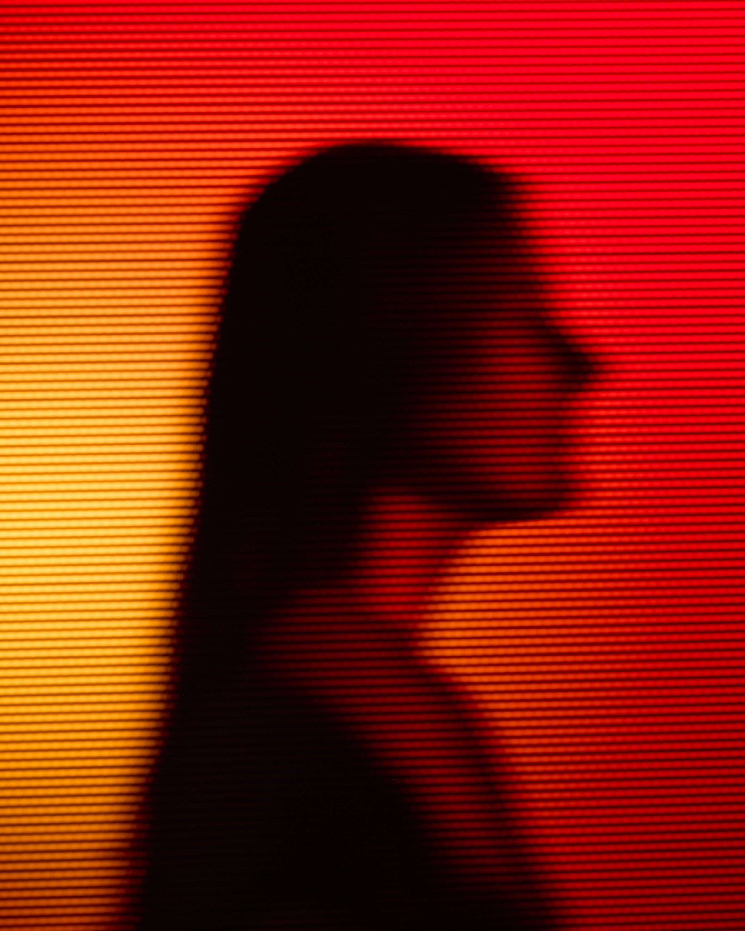 Anonymous profile of a woman.