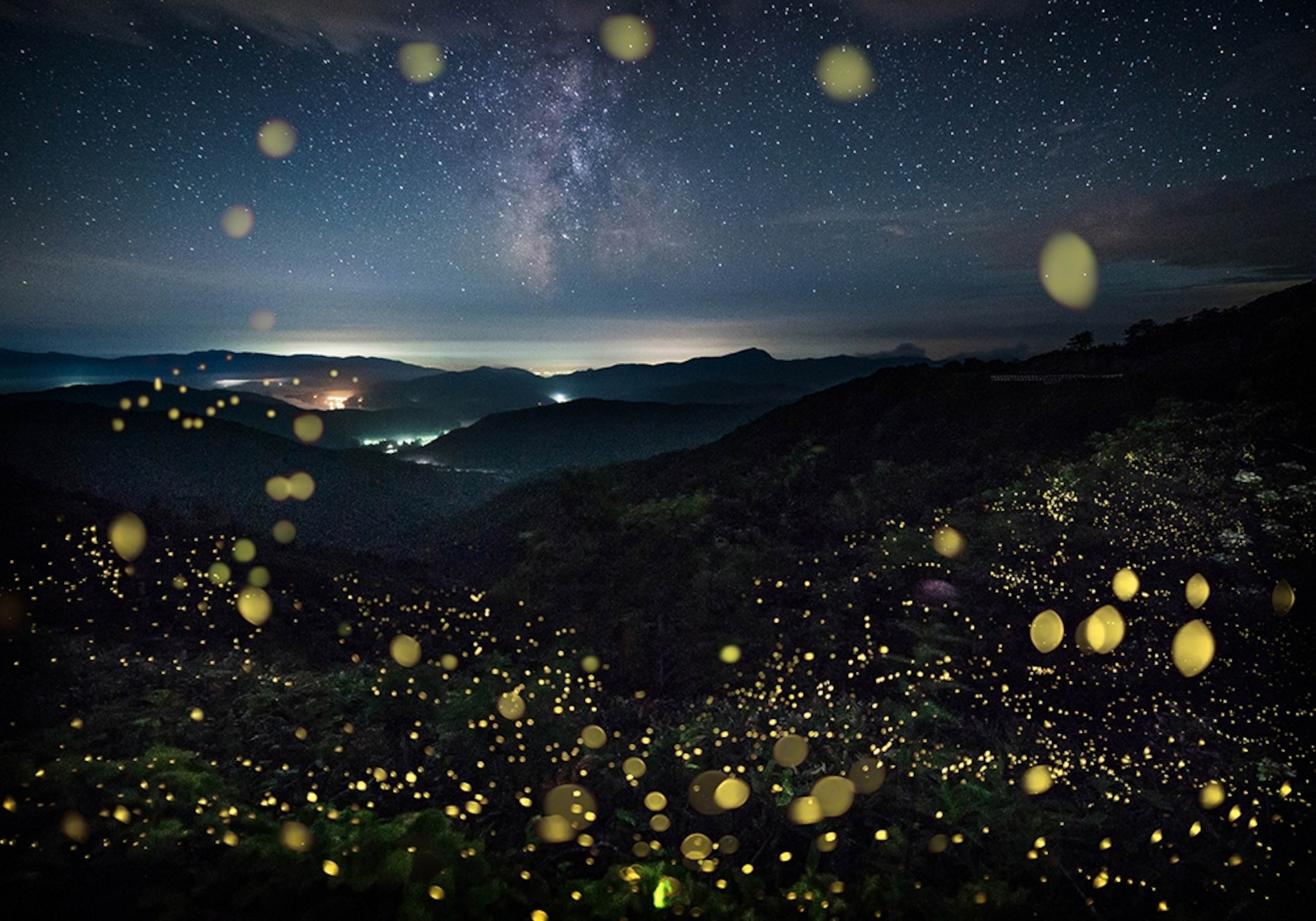 Wooded mountains dotted with the glow of fireflies, beneath a starry sky.