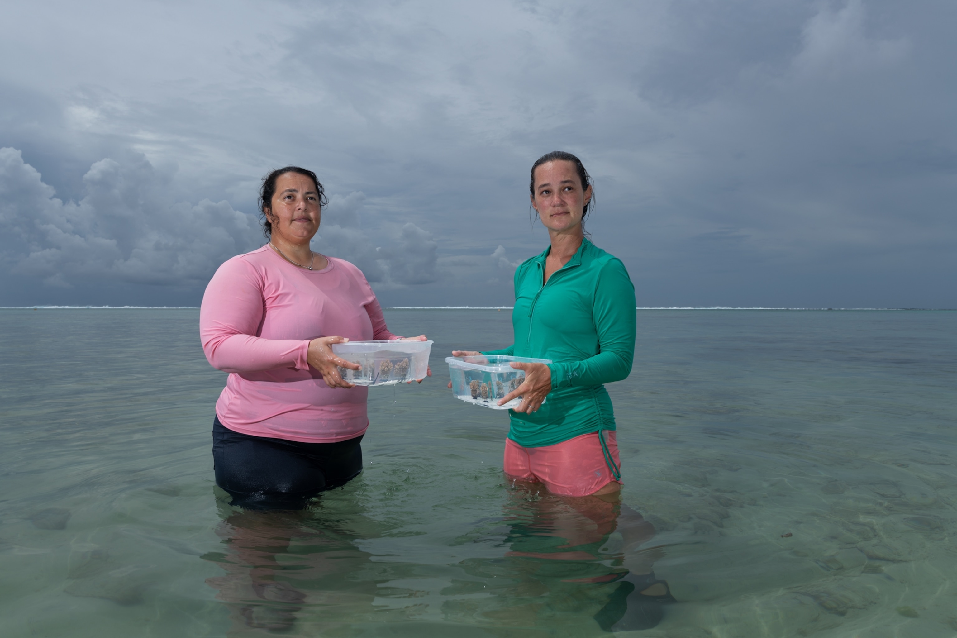 Two women, on in pink and another in torque shirts standing in shallow water and holding clear plastic containers with coral samples.