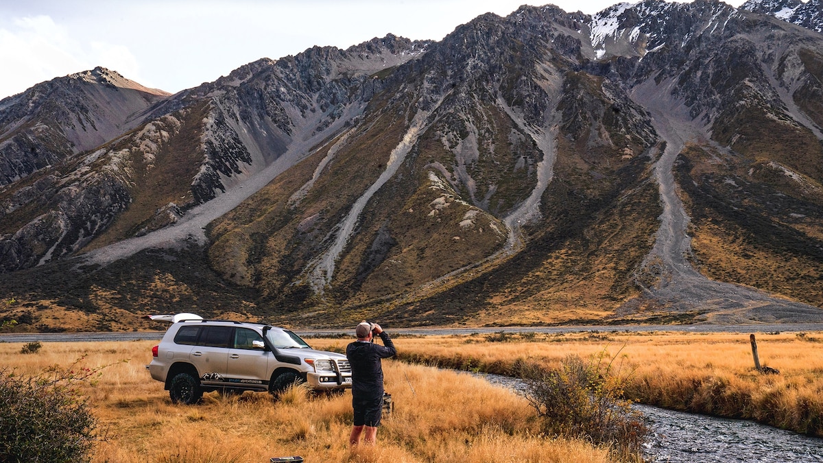 Join the search for the world's rarest wading bird in New Zealand