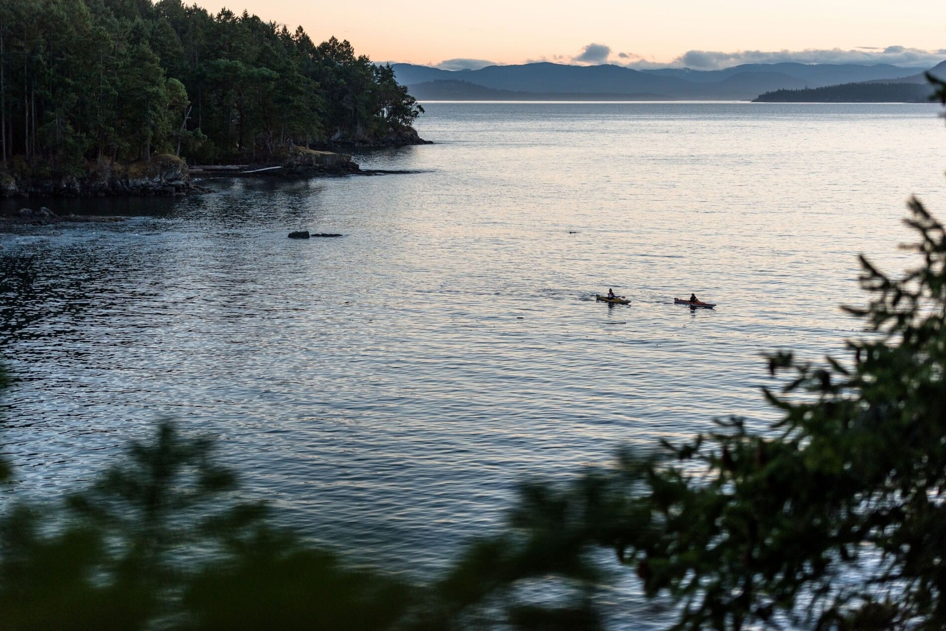 South Pender Island is known for its sleepy coves and dramatic headlands, making it a great location for kayaking and forest bathing