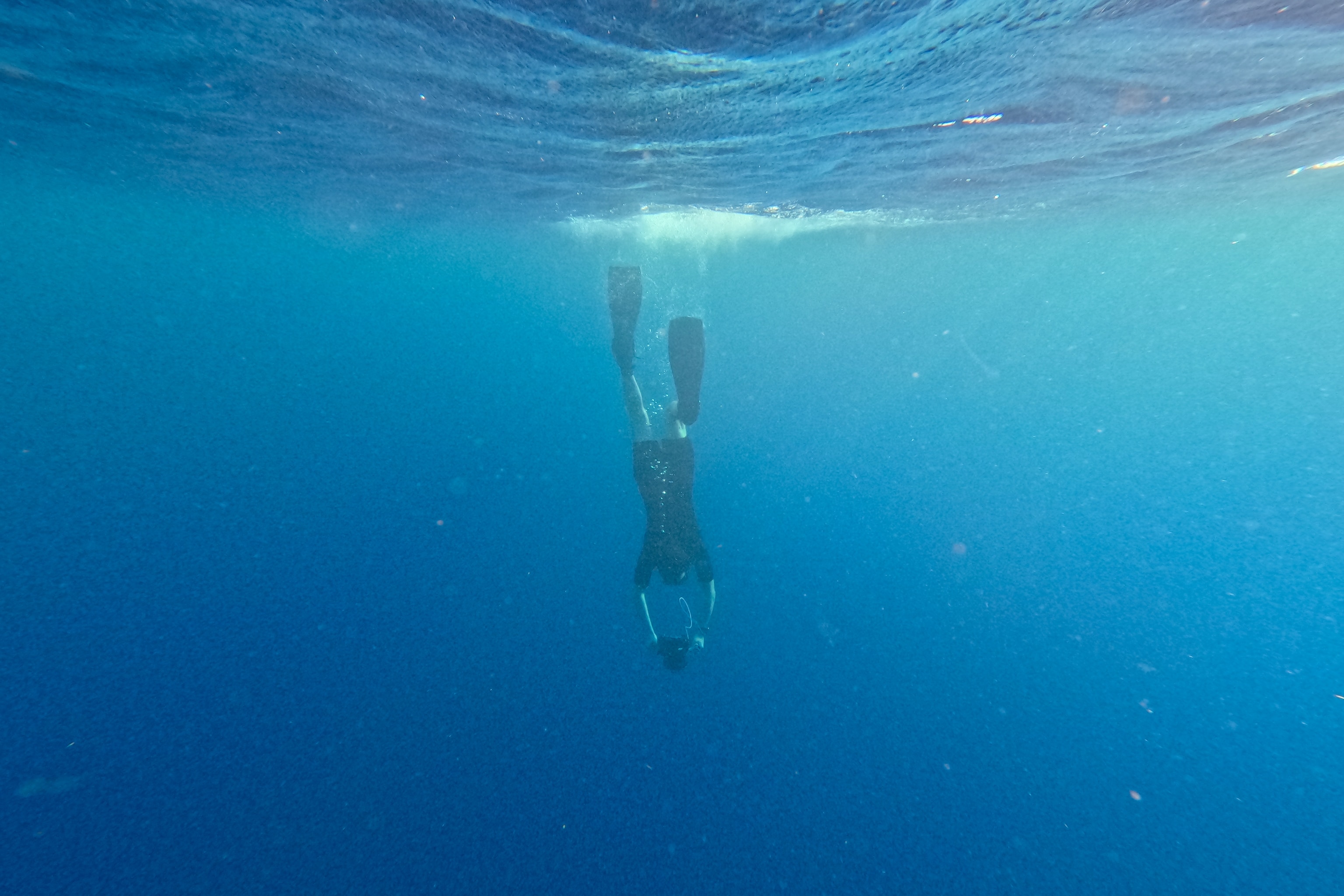 Marine Biologist and National Geographic Explorer David Gruber is the founder and president of Project CETI (Cetacean Translation Initiative), a nonprofit, interdisciplinary initiative on a mission to listen to and translate the communication of sperm whales.