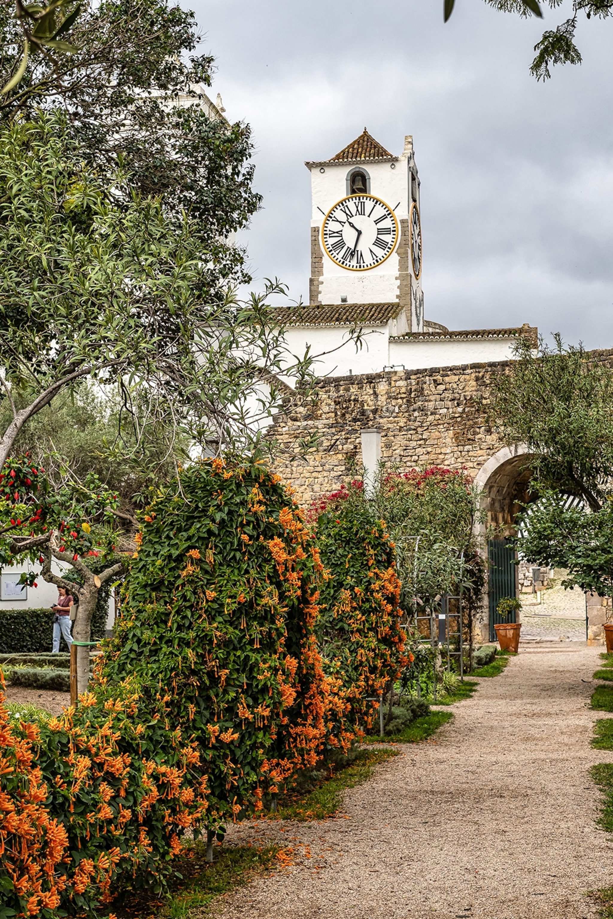 A church tower with a clock peaking through the trees and bushes of a courtyard garden.