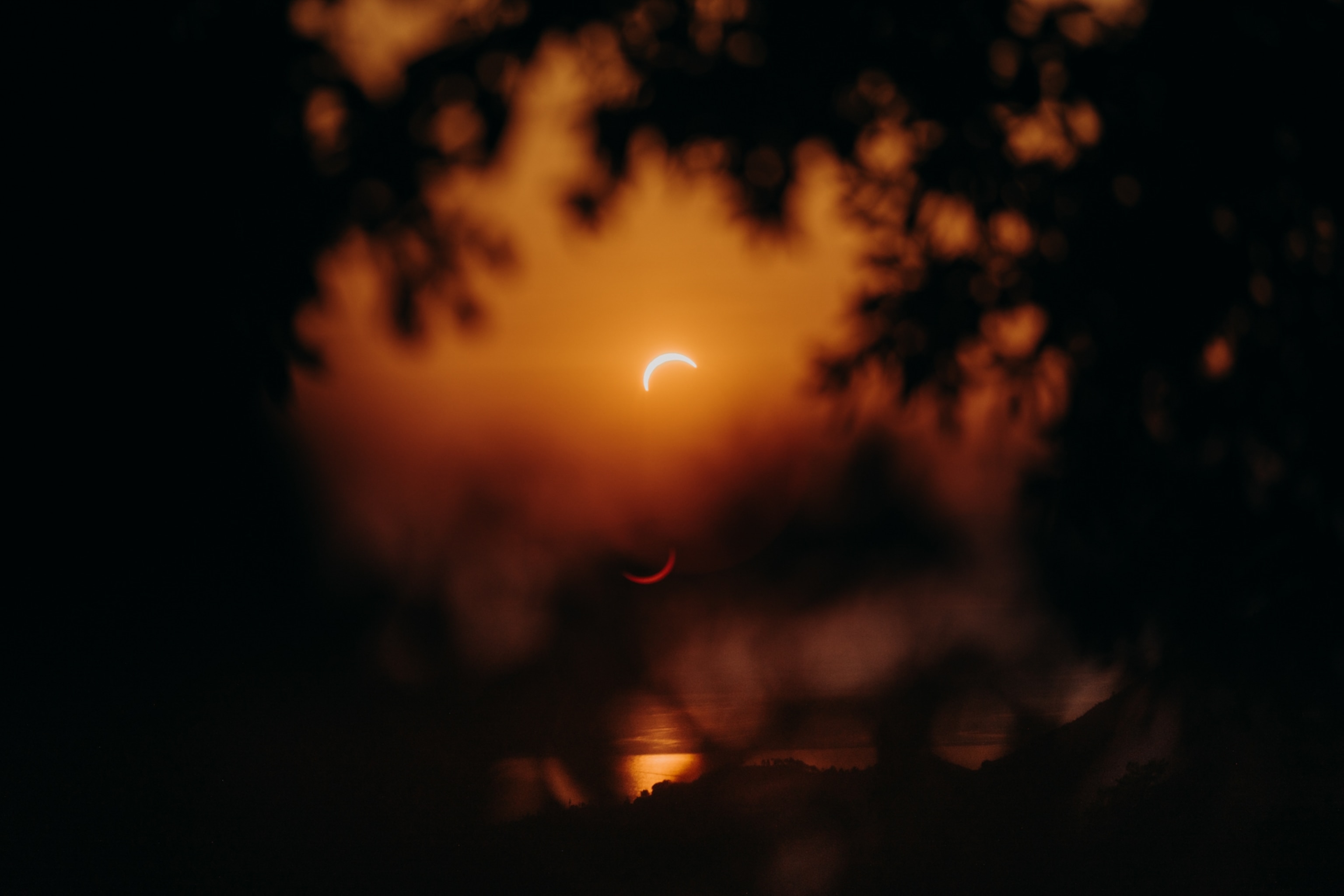 Silhouetted trees frame a glowing orange eclipse low on the horizon