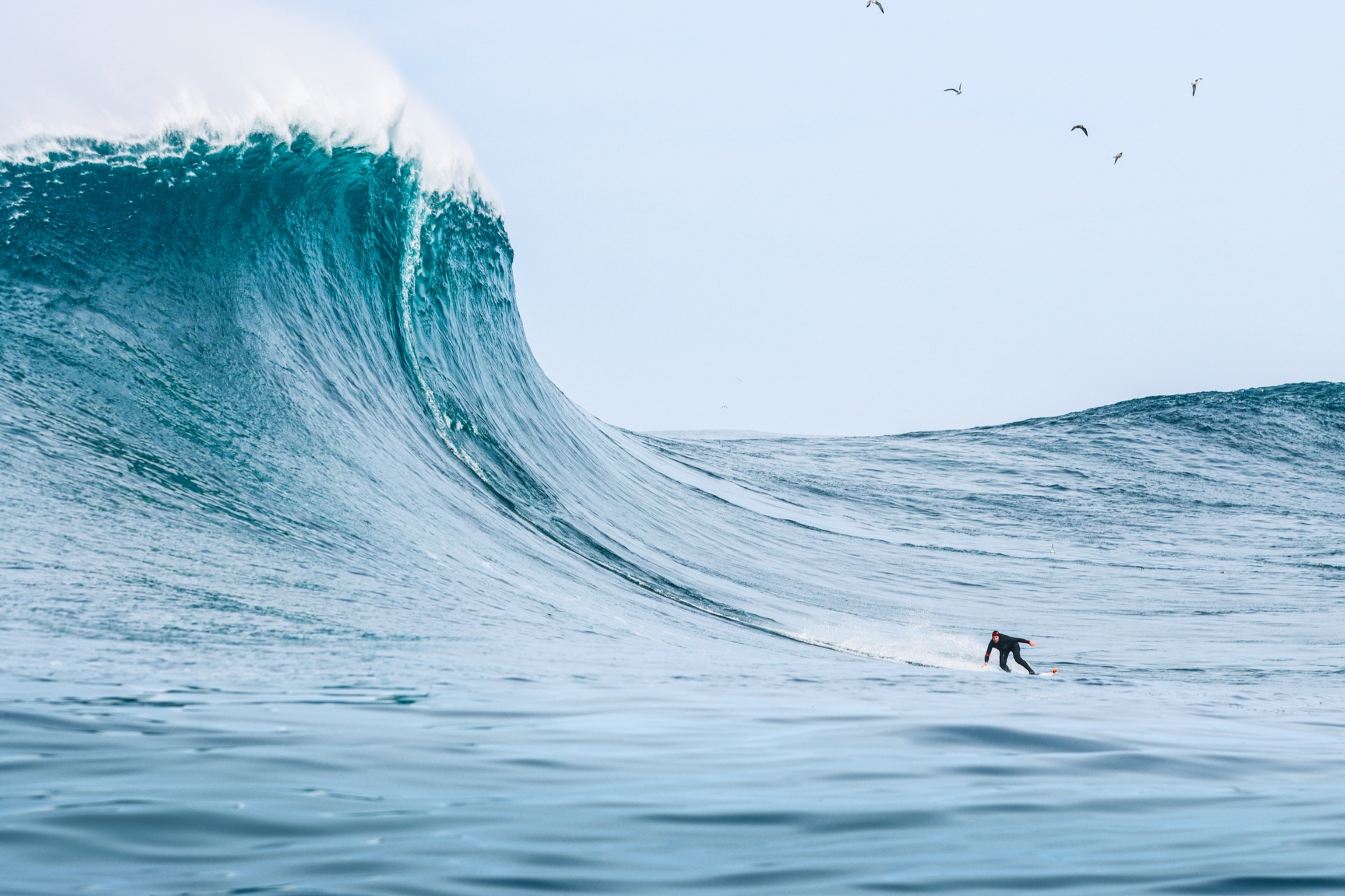 A surfer in a black wetsuit rides at the base of an extremely tall wave.