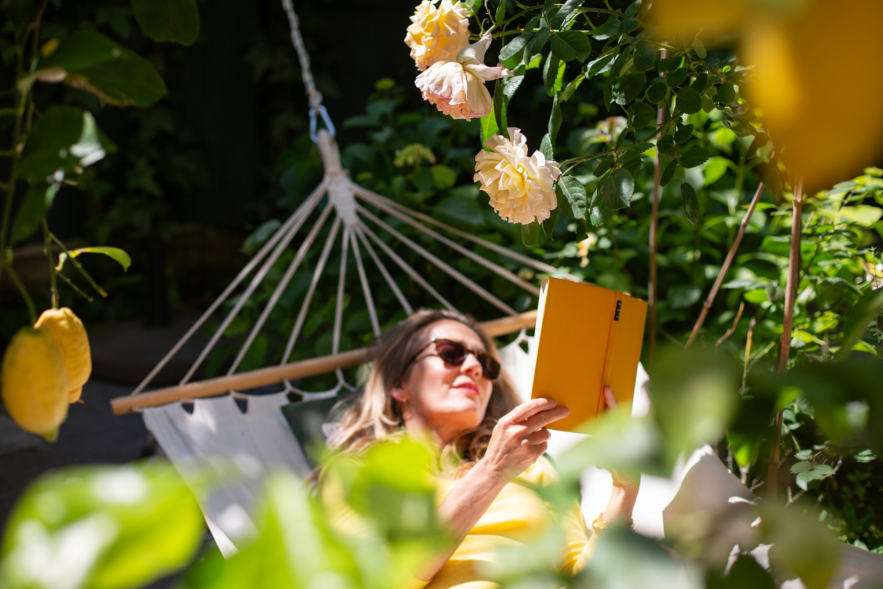 A woman reading a book on a hammock in a rose garden.