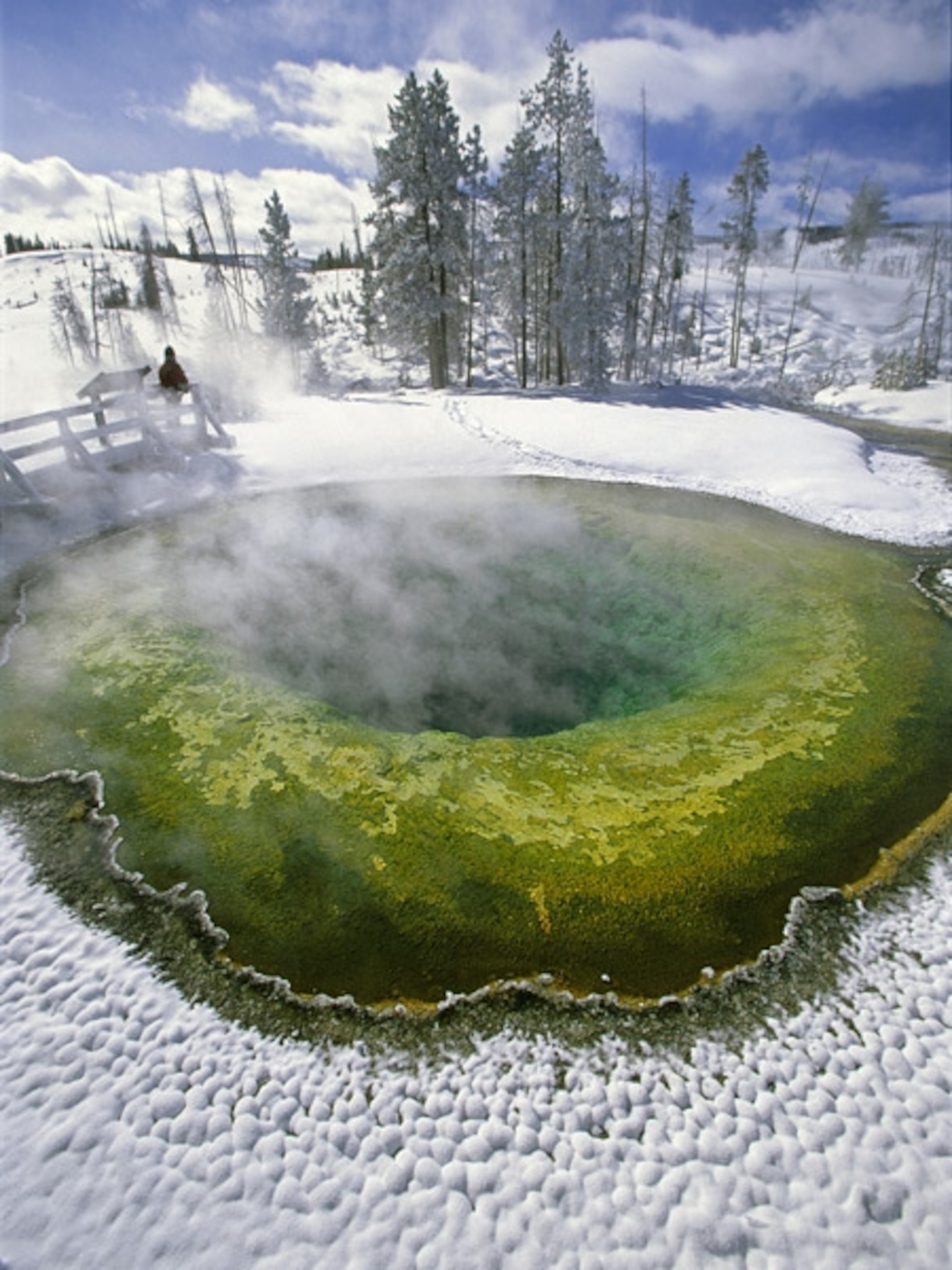 A colorful pool of bacteria