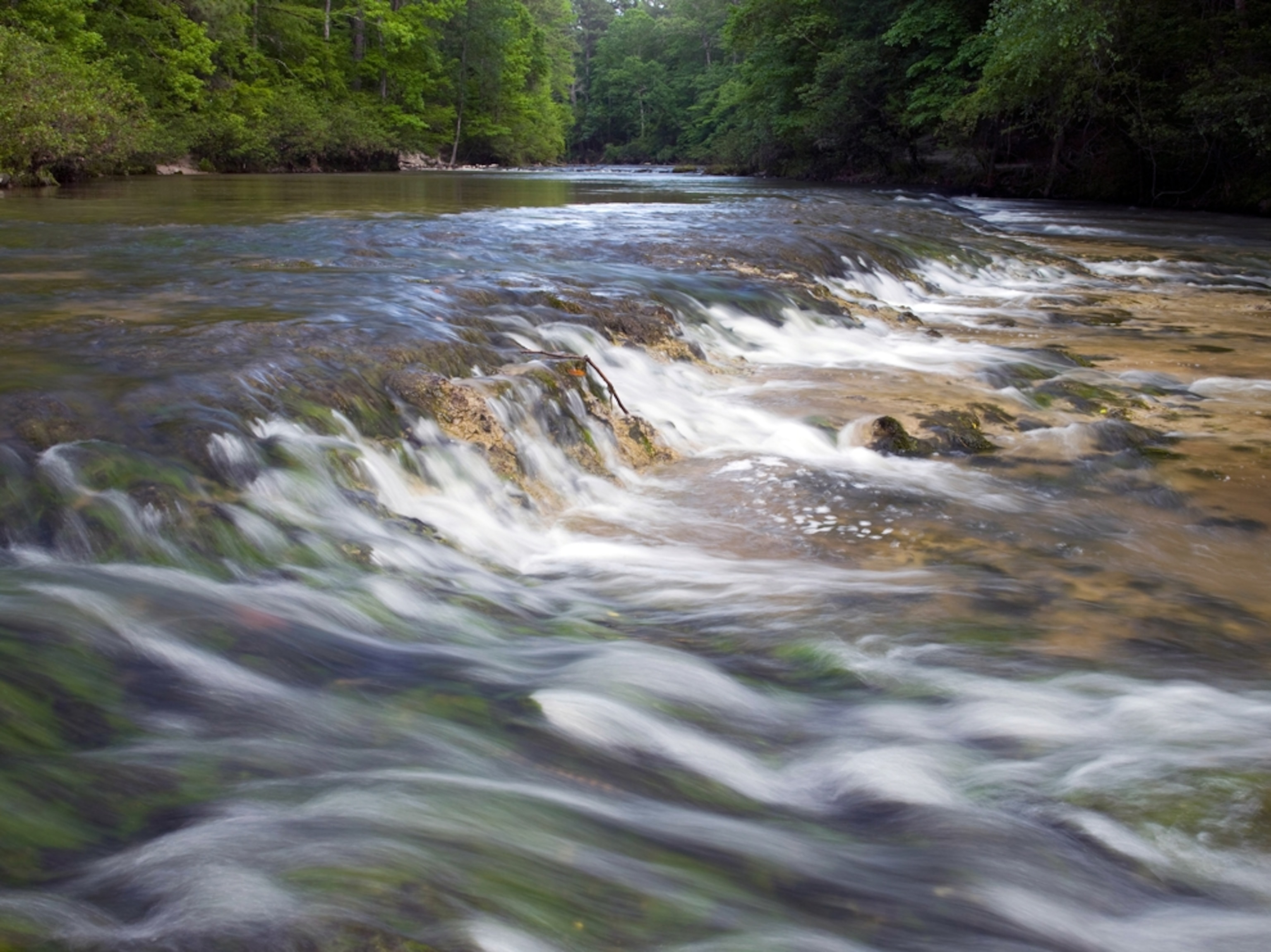 Rapids on Kistachie Bayou in Kisatchie National Forest