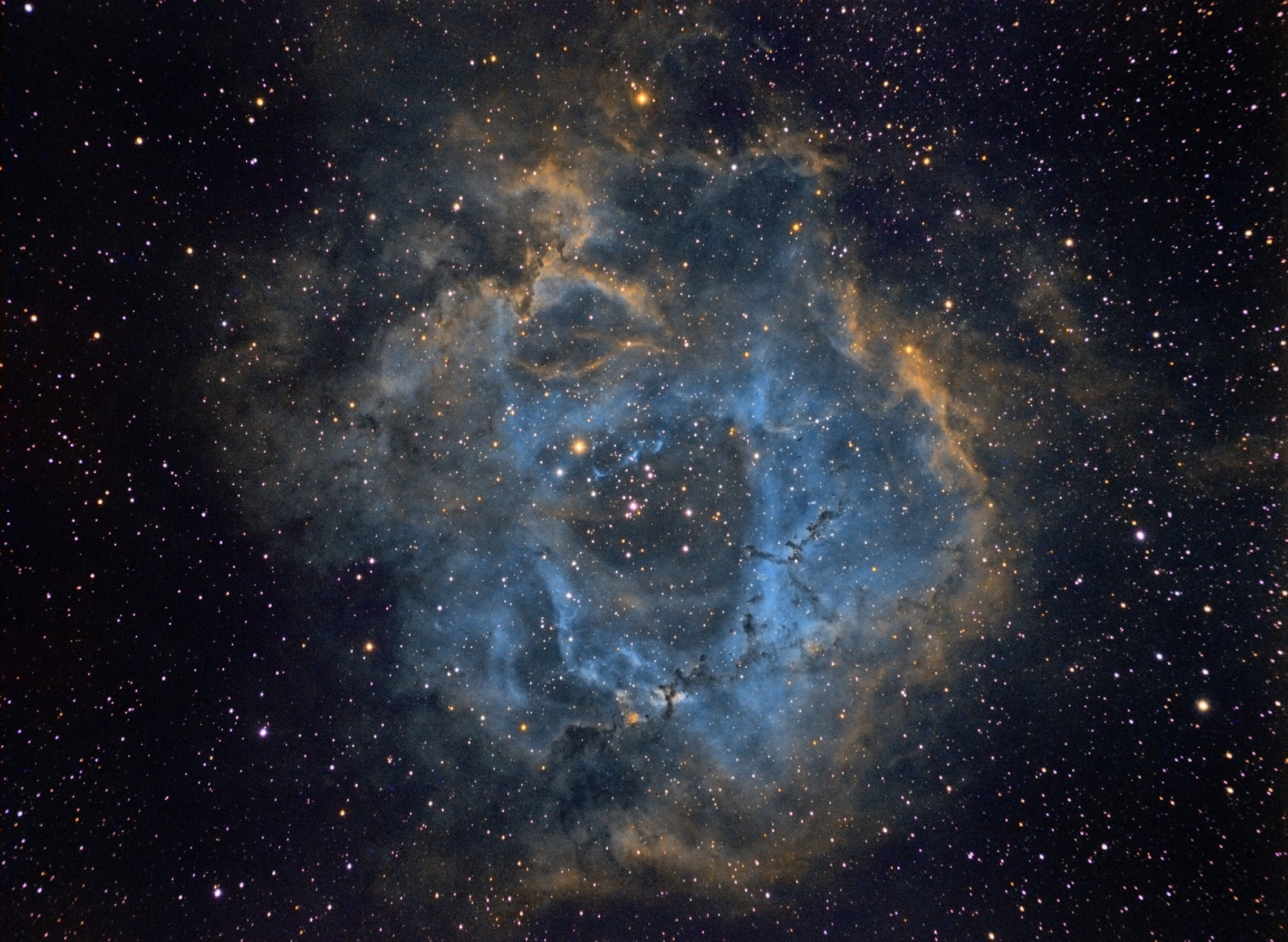 the Rosette Nebula