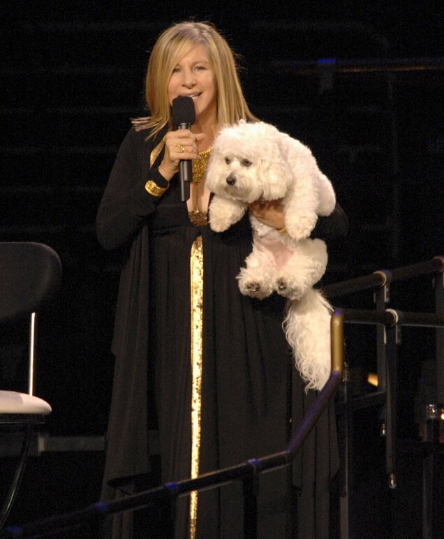 Barbra Streisand S Cloned Dogs Explained