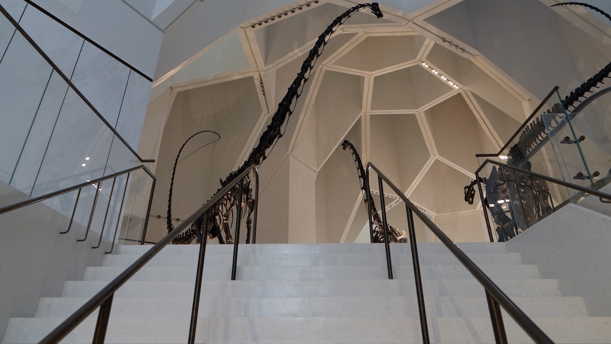 Exclusive: Inside the new Natural History Museum Abu Dhabi