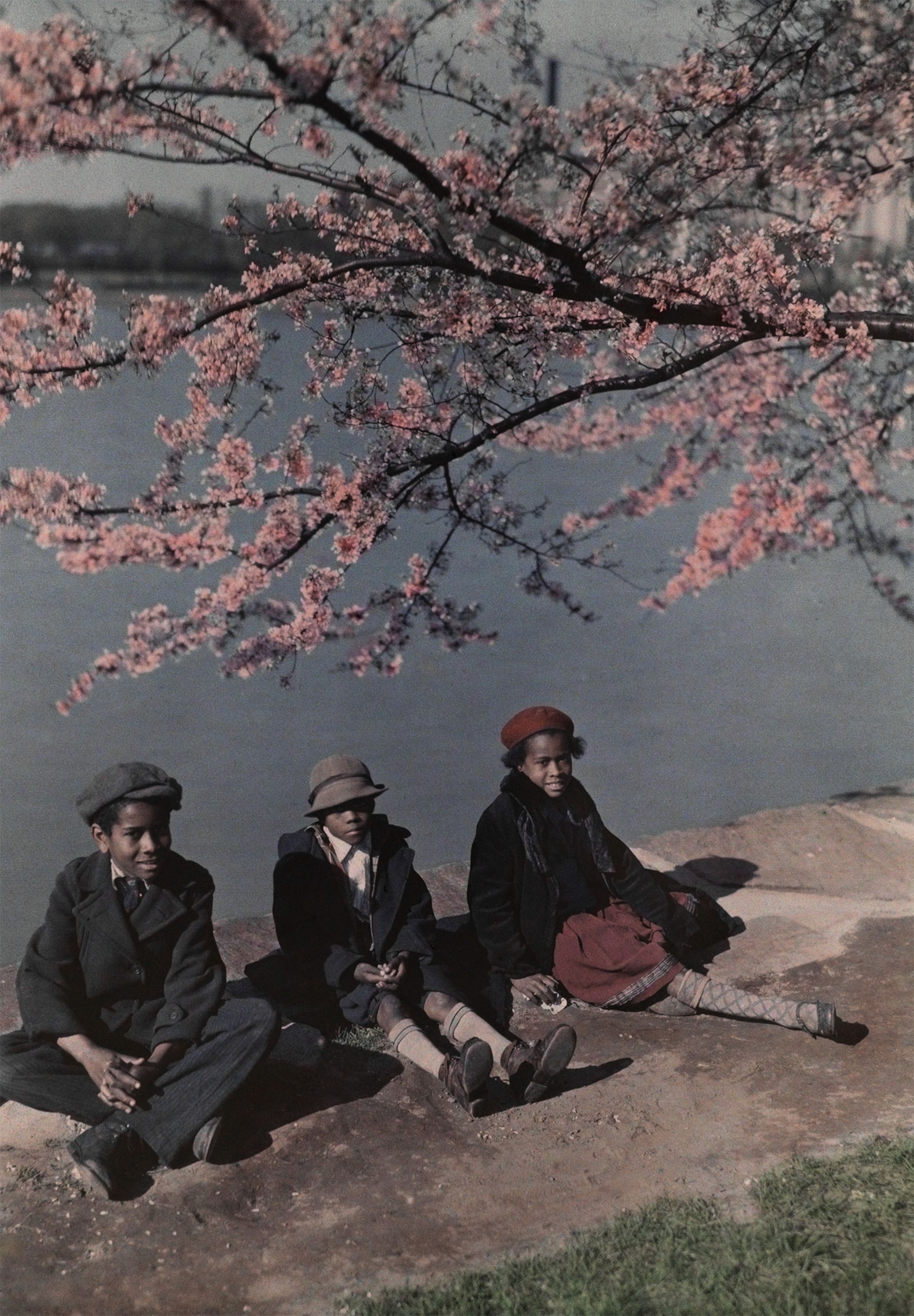 children near the Tidal Basin in Washington D.C.