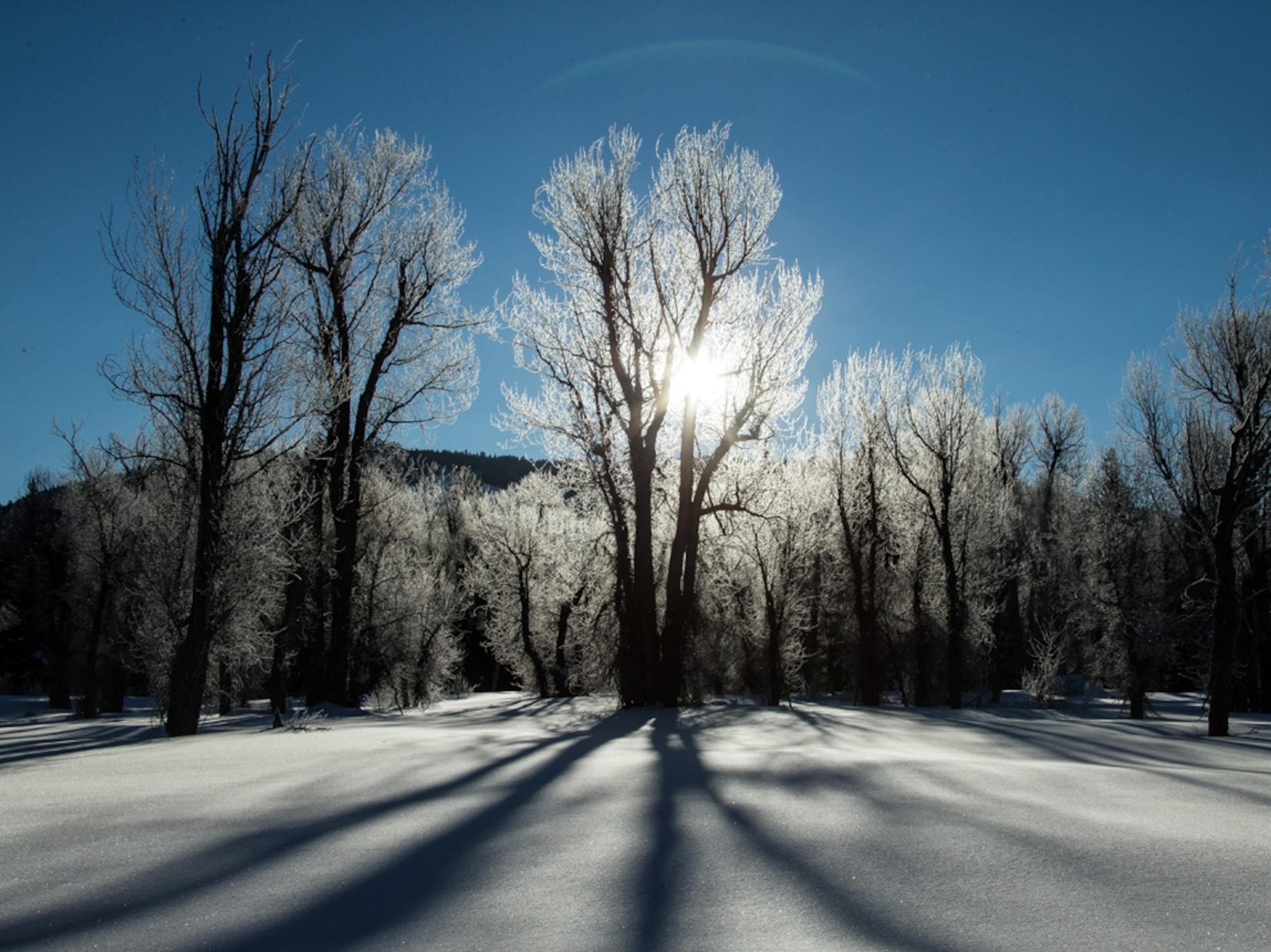 Grand Teton National Park in snow