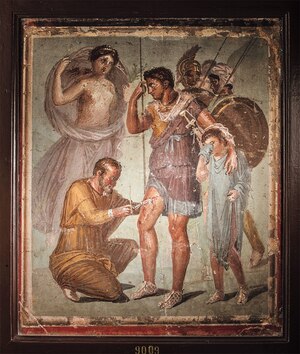 Ancient medics&mdash;here, a doctor removes an arrowhead from an injured hero&mdash;often learned their trade at gladiator schools.