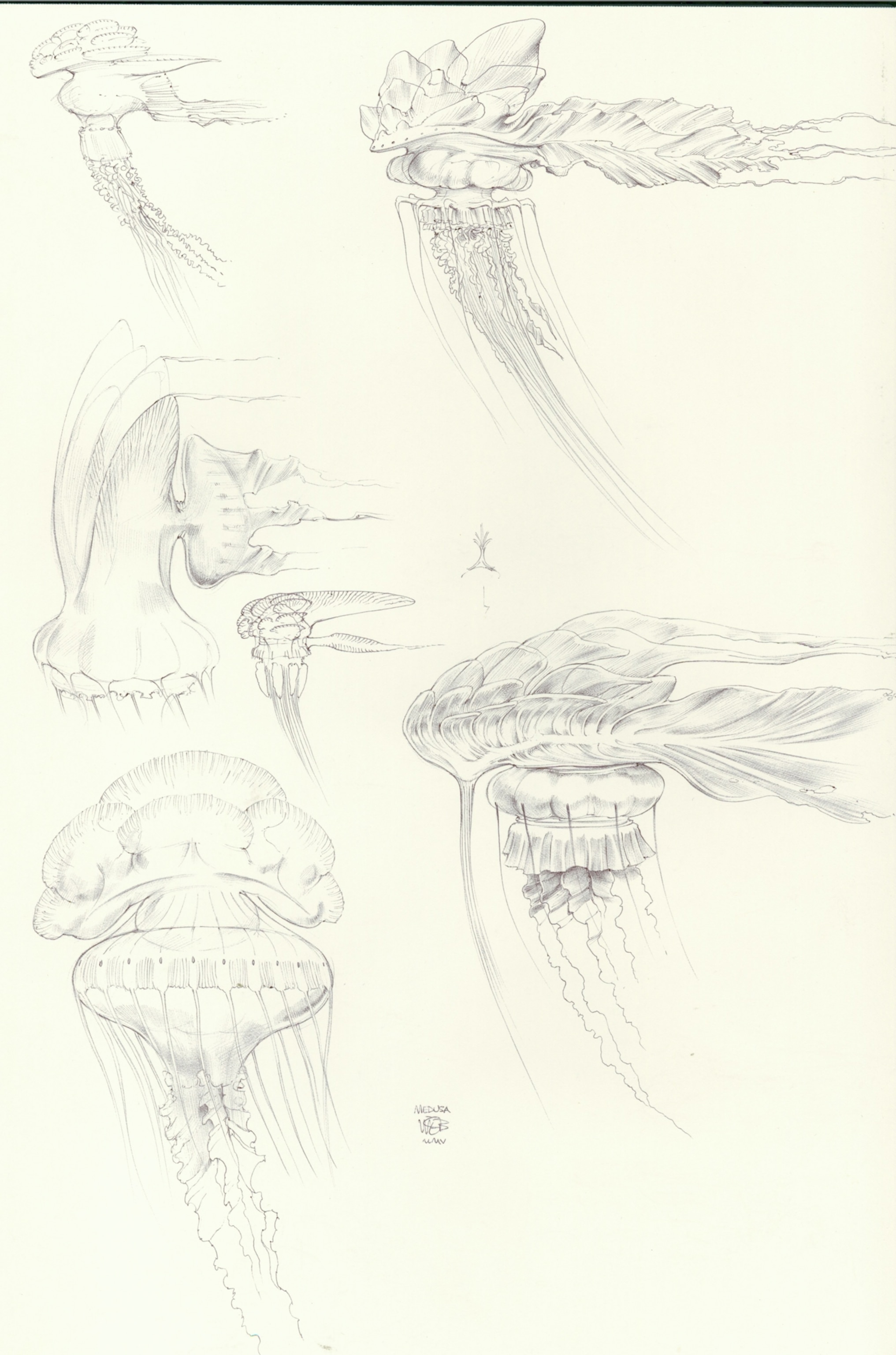 An illustration of a gelatinous creature.