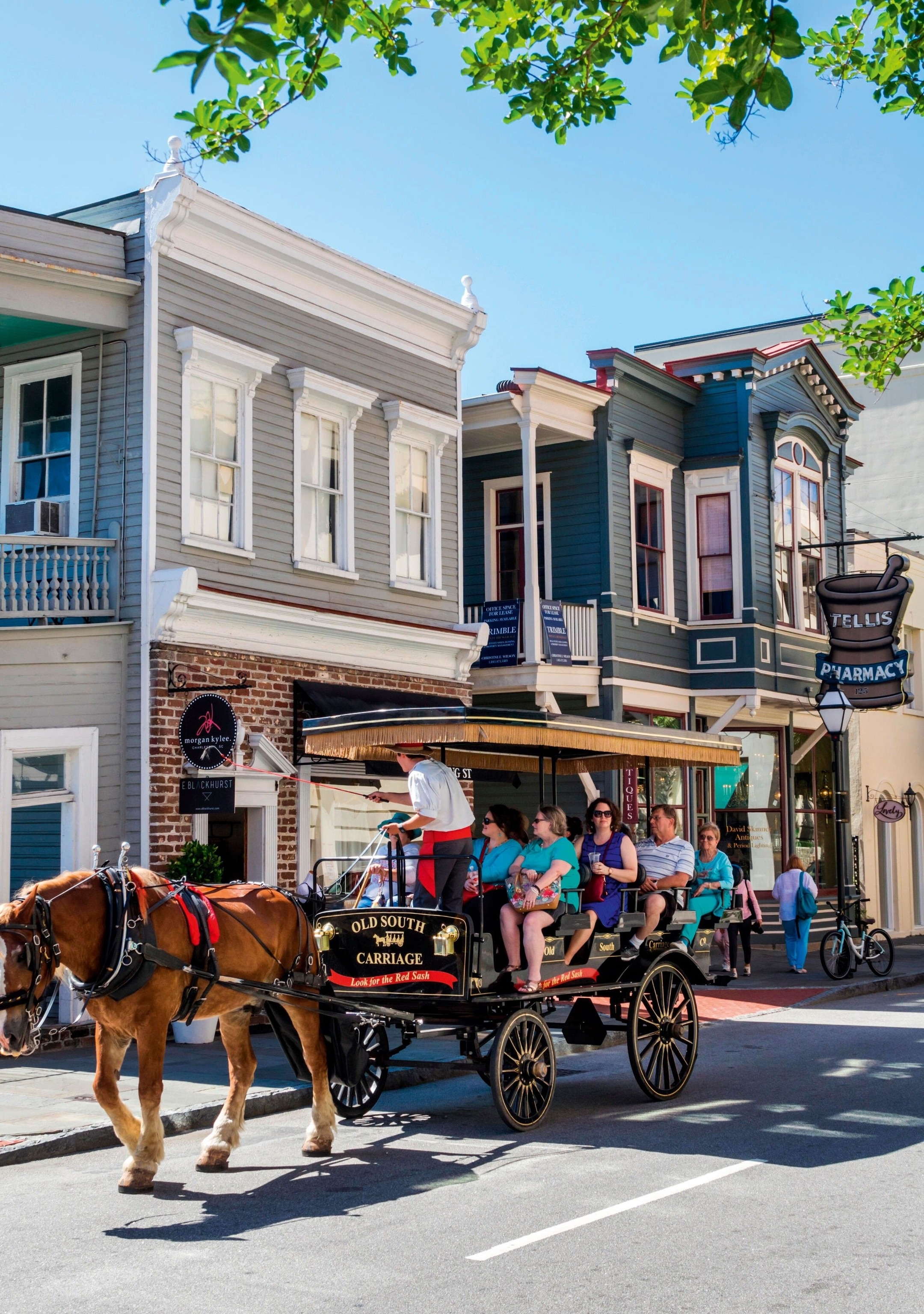 A horse-drawn carriage tour passes through Downtown Charleston. 