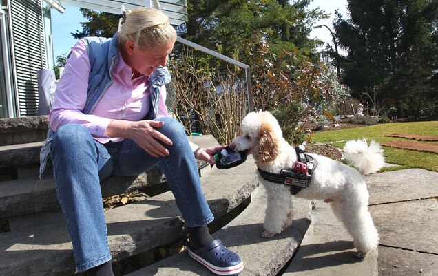 How Dogs Can Sniff Out Diabetes And Cancer