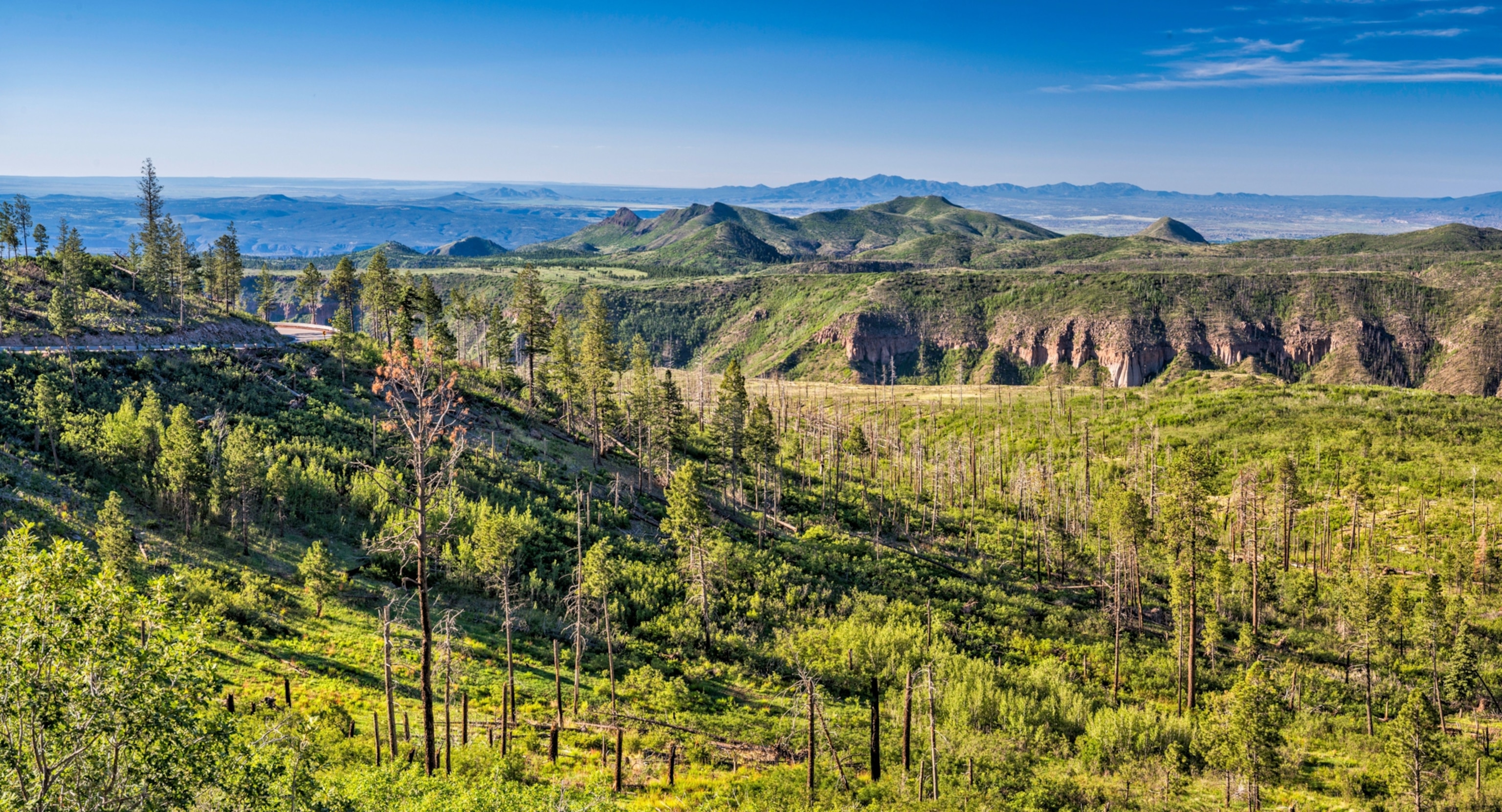 A green mountain landscape with recovering vegetation and scattered charred tree trunks stretches across valleys and cliffs beneath a clear blue sky, showing the aftermath of a past wildfire.