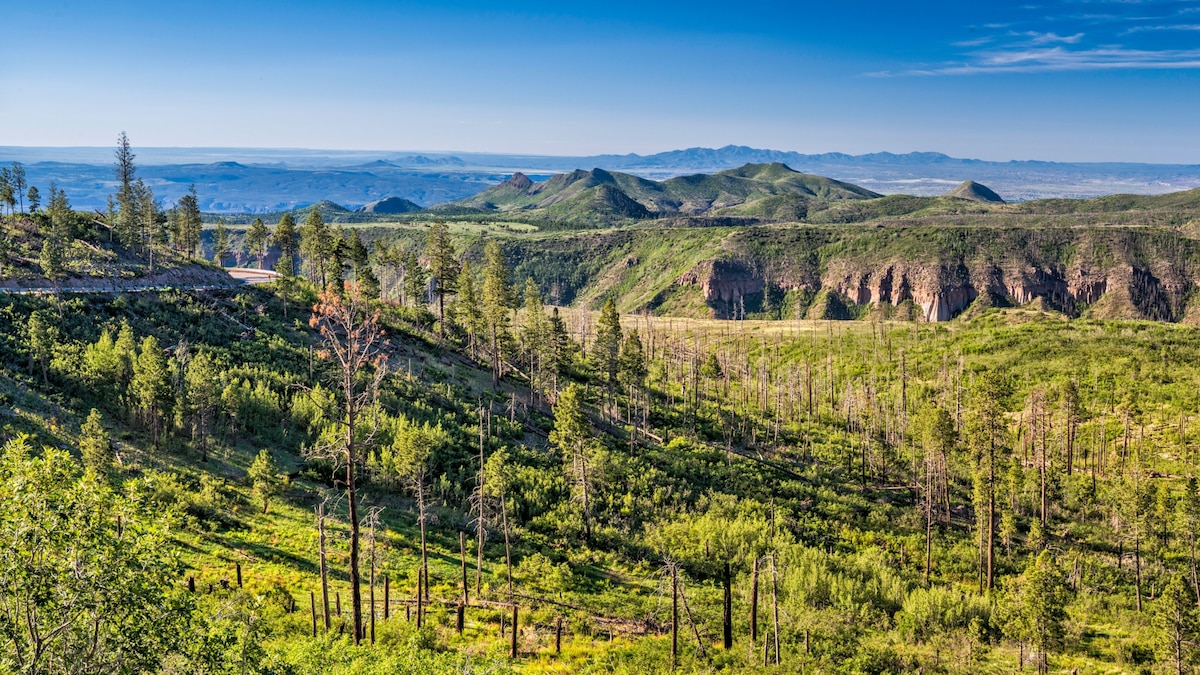 How Wildfire is Erasing the Forests of the American West