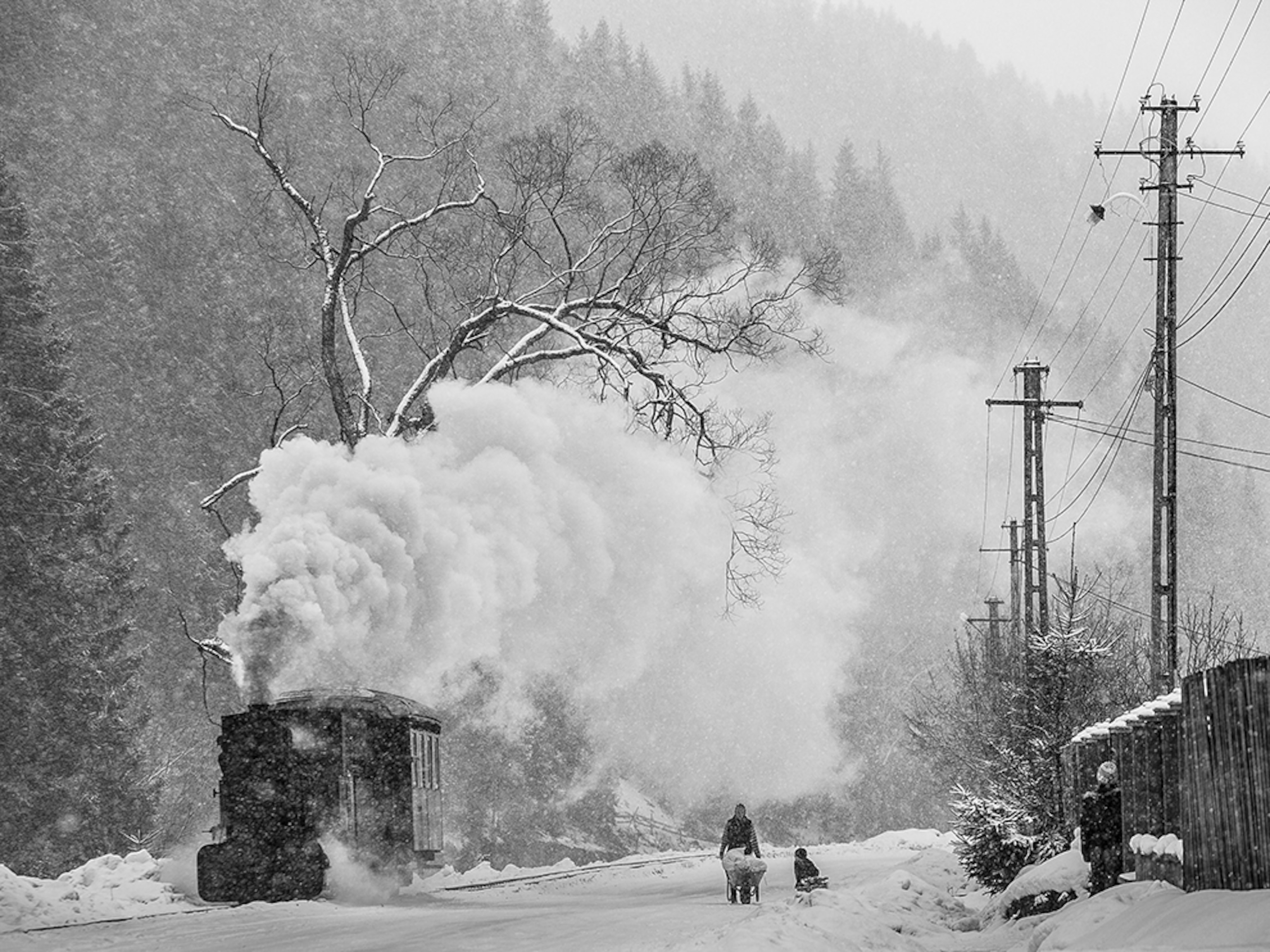 a snowy day in Bucovina, Romania