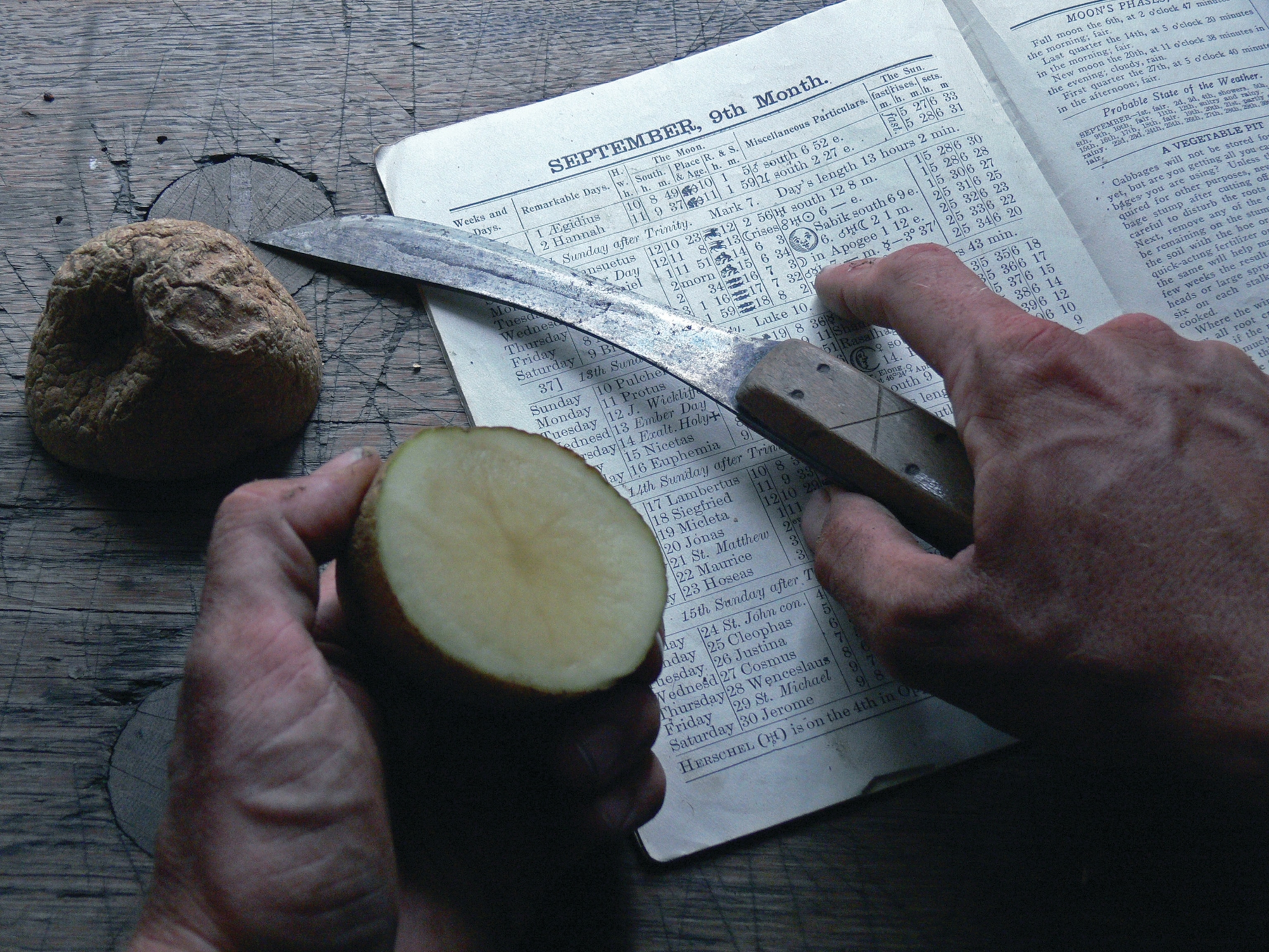 hands hold a potato and a knife while resting on a piece of paper