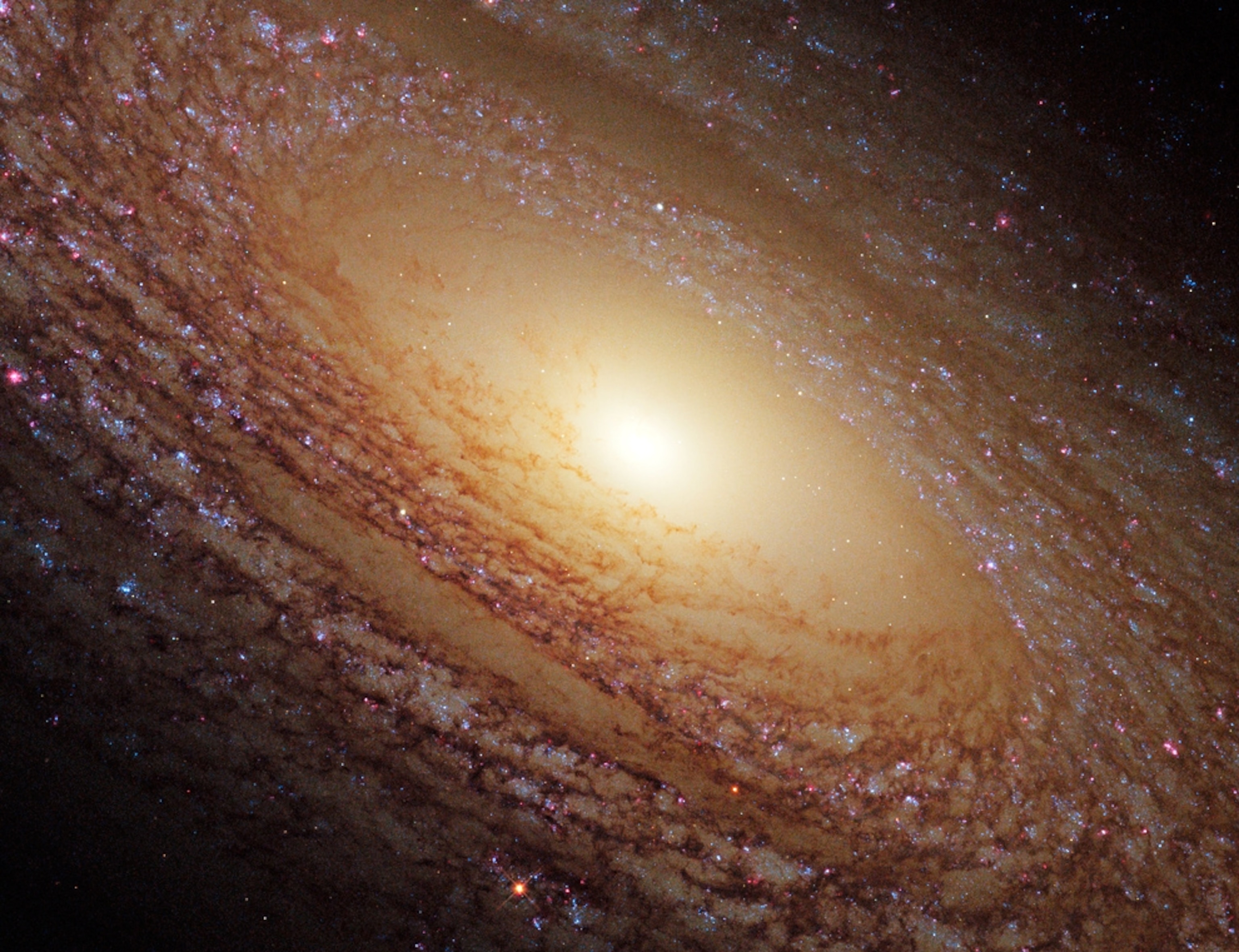the large spiral galaxy NGC 2841