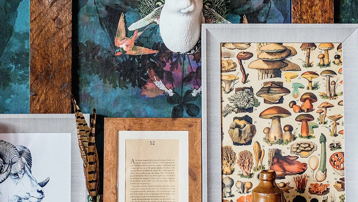 Explore the Lake District in the footsteps of Beatrix Potter