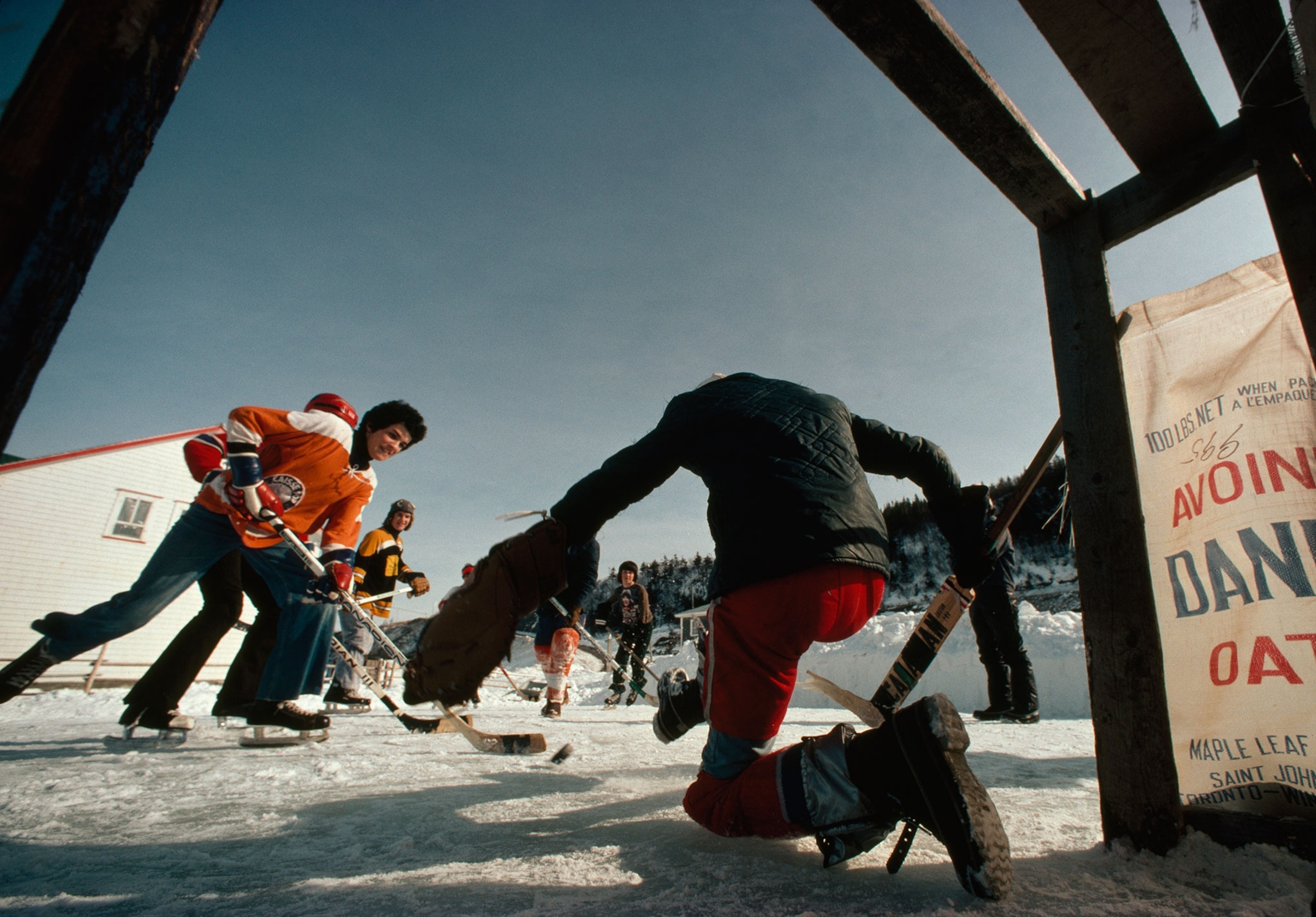 young boys playing hockey