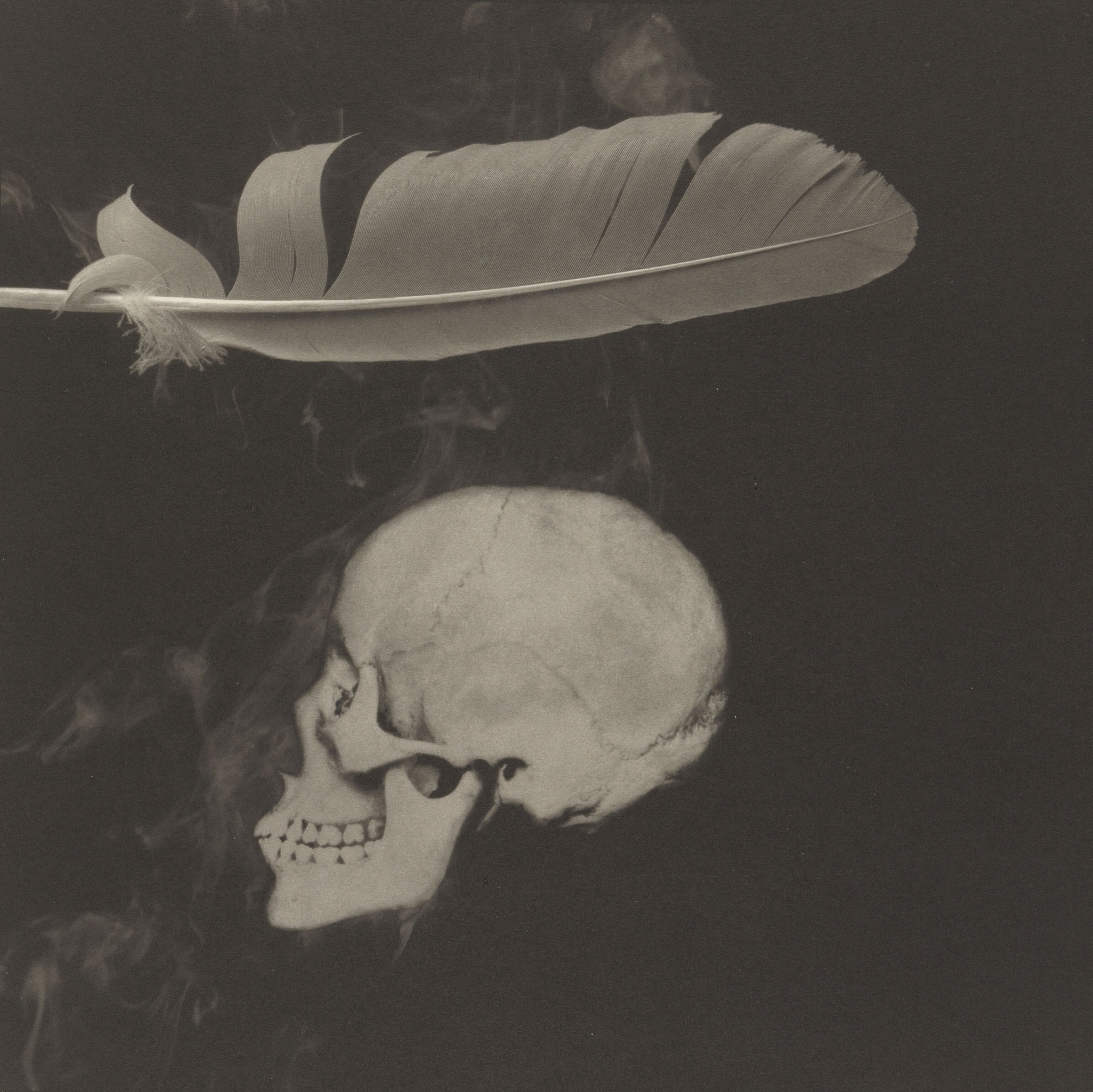 a skull and a feather, with smoke wafting up against the black backdrop
