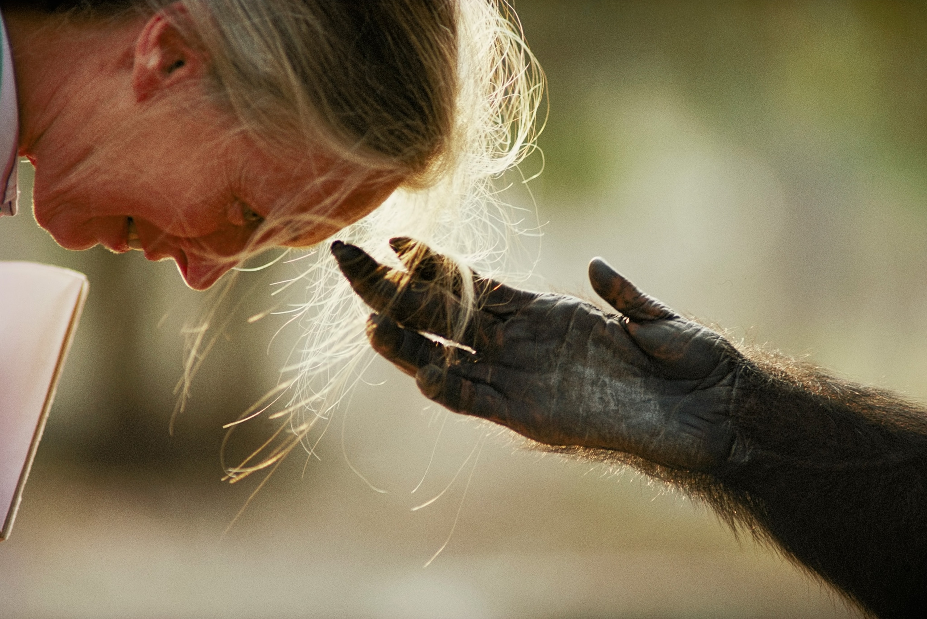 woman head bowed with chimp handing touching forehead