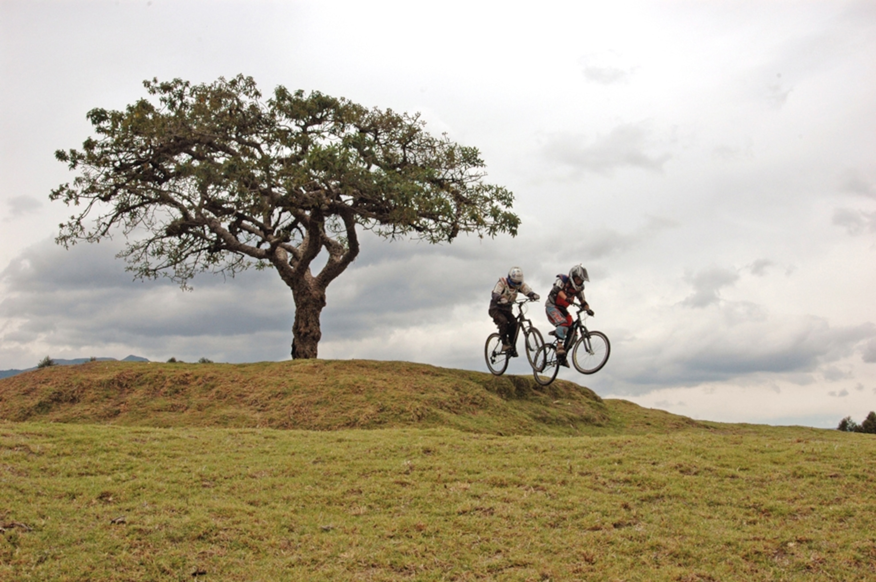 Two riders bike near a tree in Ecuador.