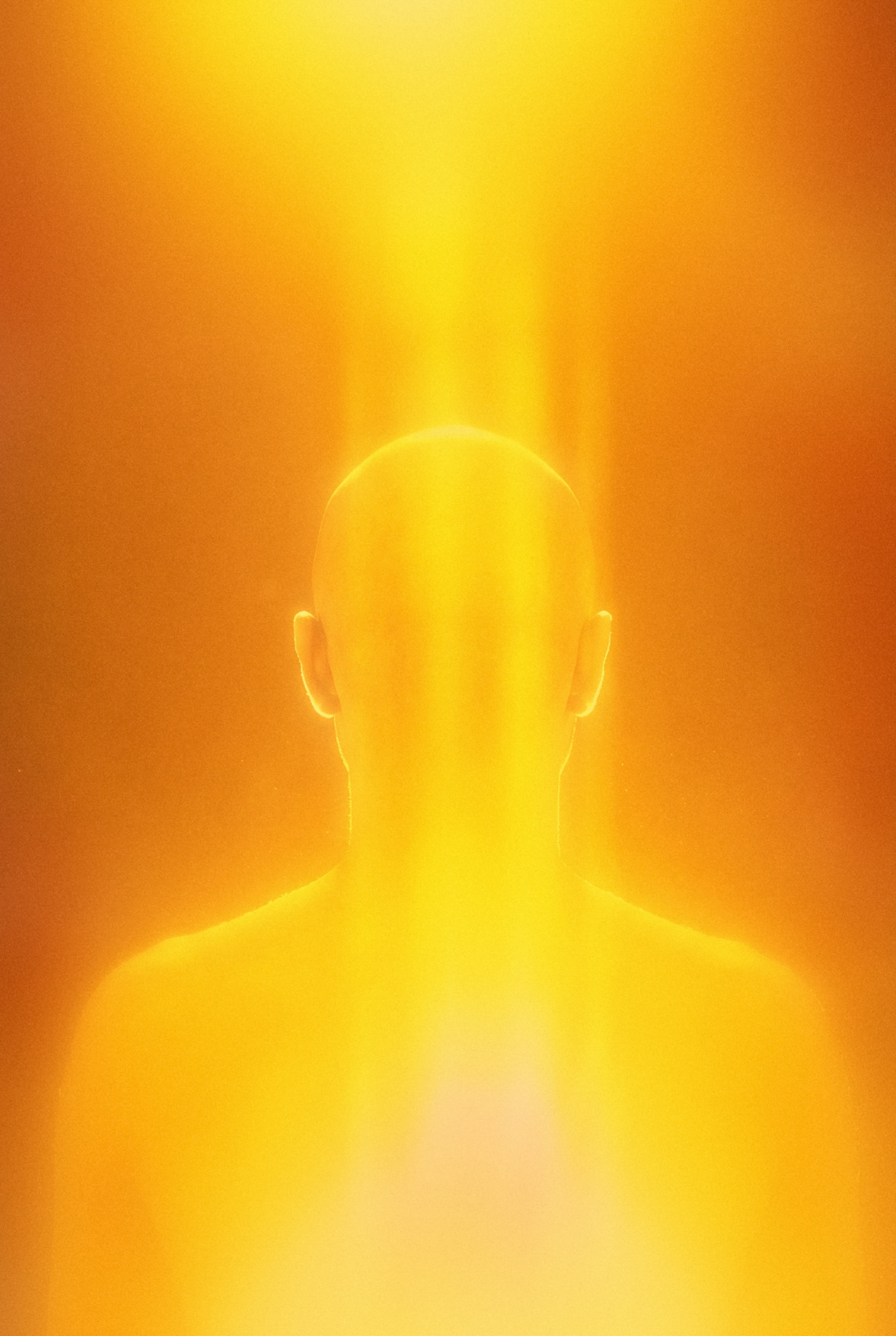 A glow emanating from a human figure pictured from behind.