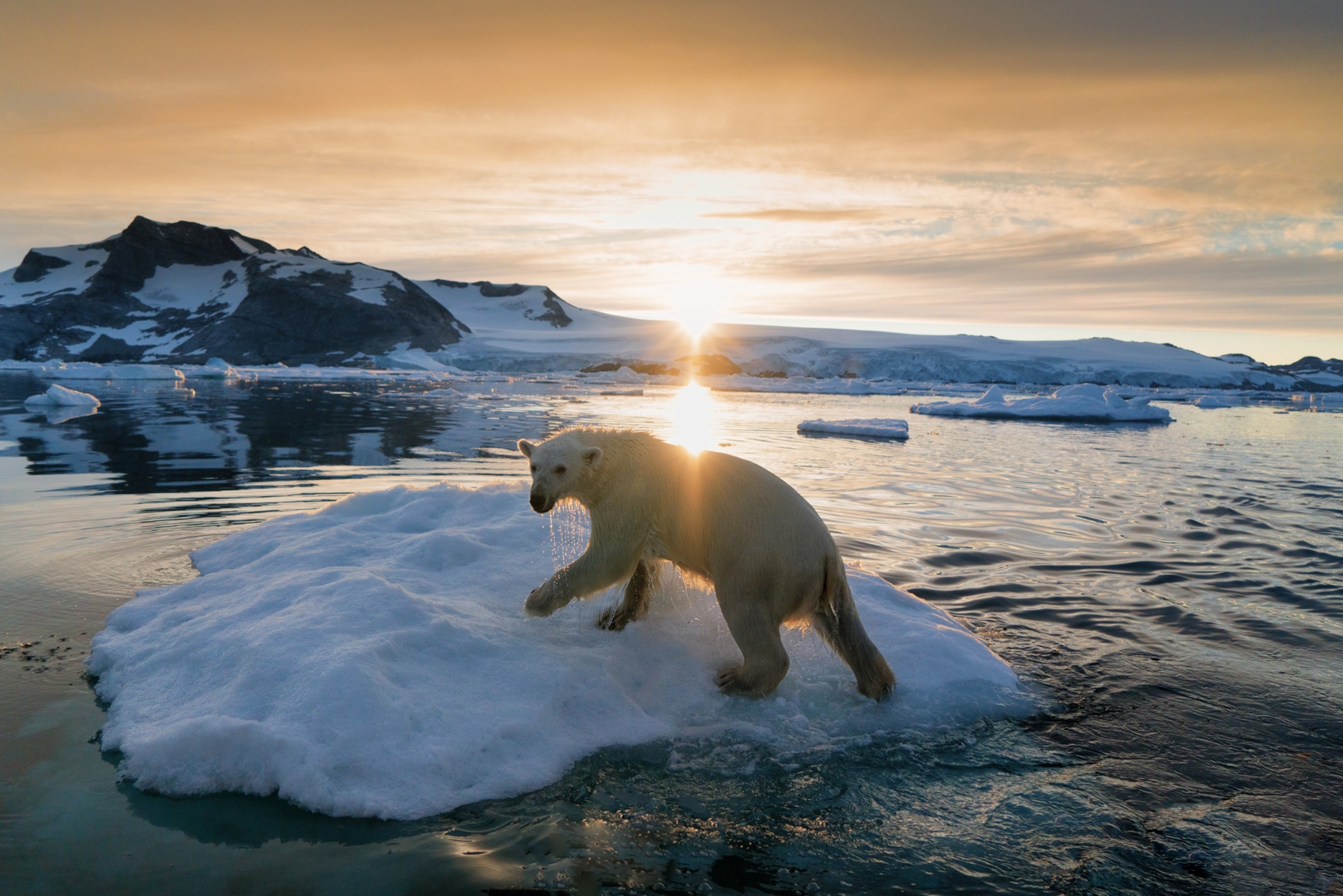 22 beautiful photos of Greenland