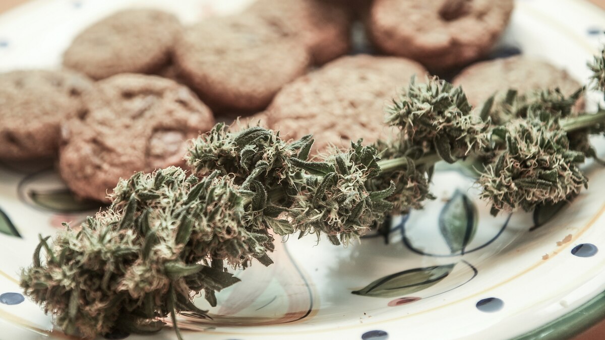 Sniffing Out What’s ‘Edible,’ Legal in Marijuana Dining