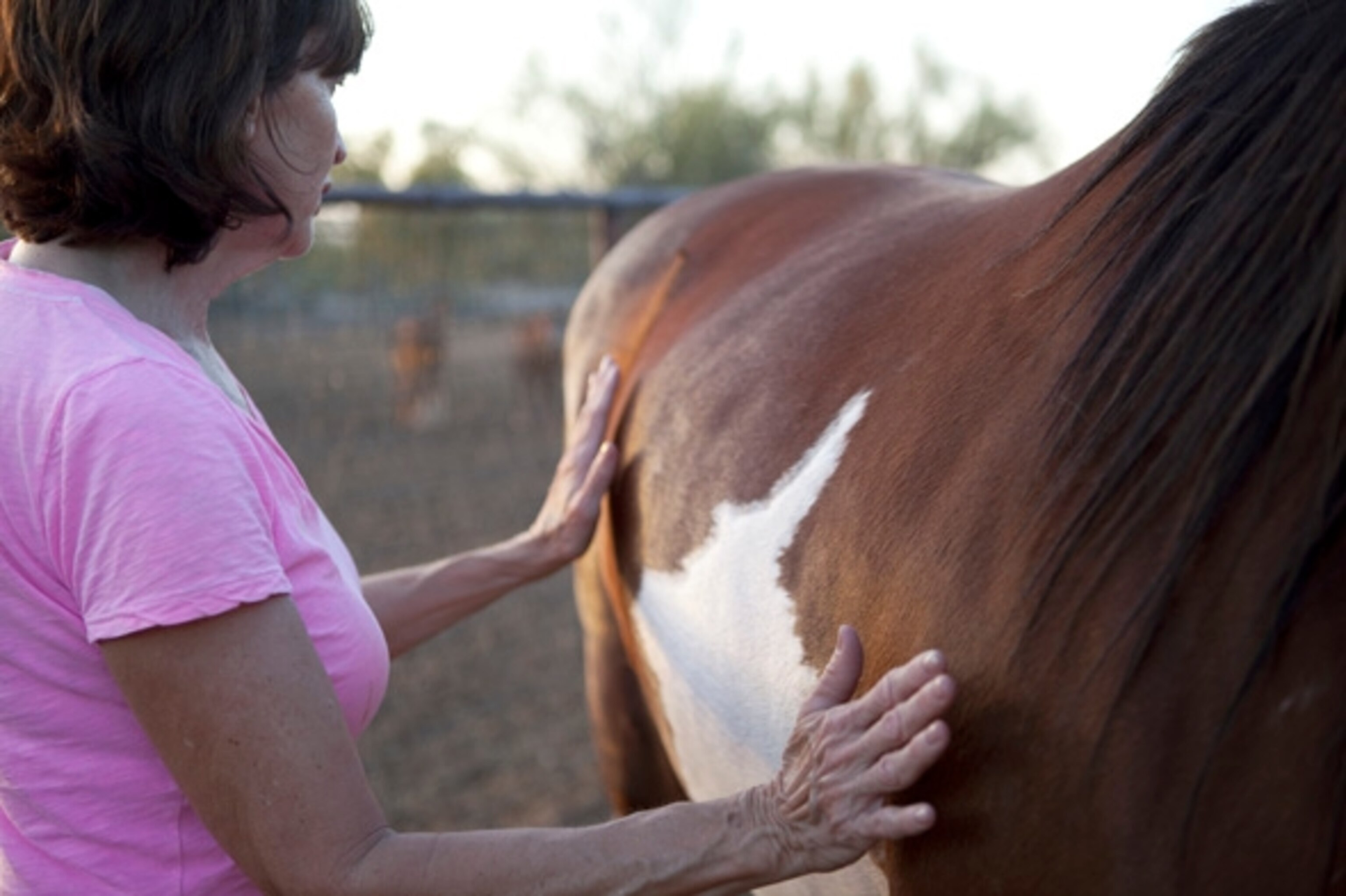 Sandie demonstrating how to sense Rosie’s energy field. (Photograph by Shannon Switzer)